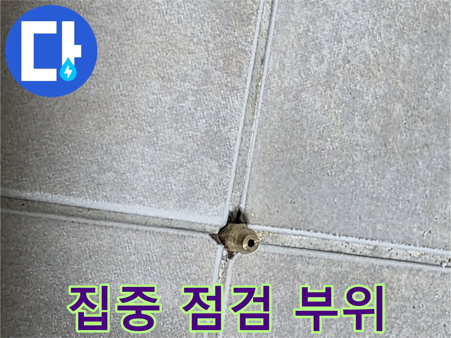 옥정 율정마을 아파트 바닥 누수 - 누수 탐지 후 문제 부위를 집중적으로 점검하는 모습입니다.