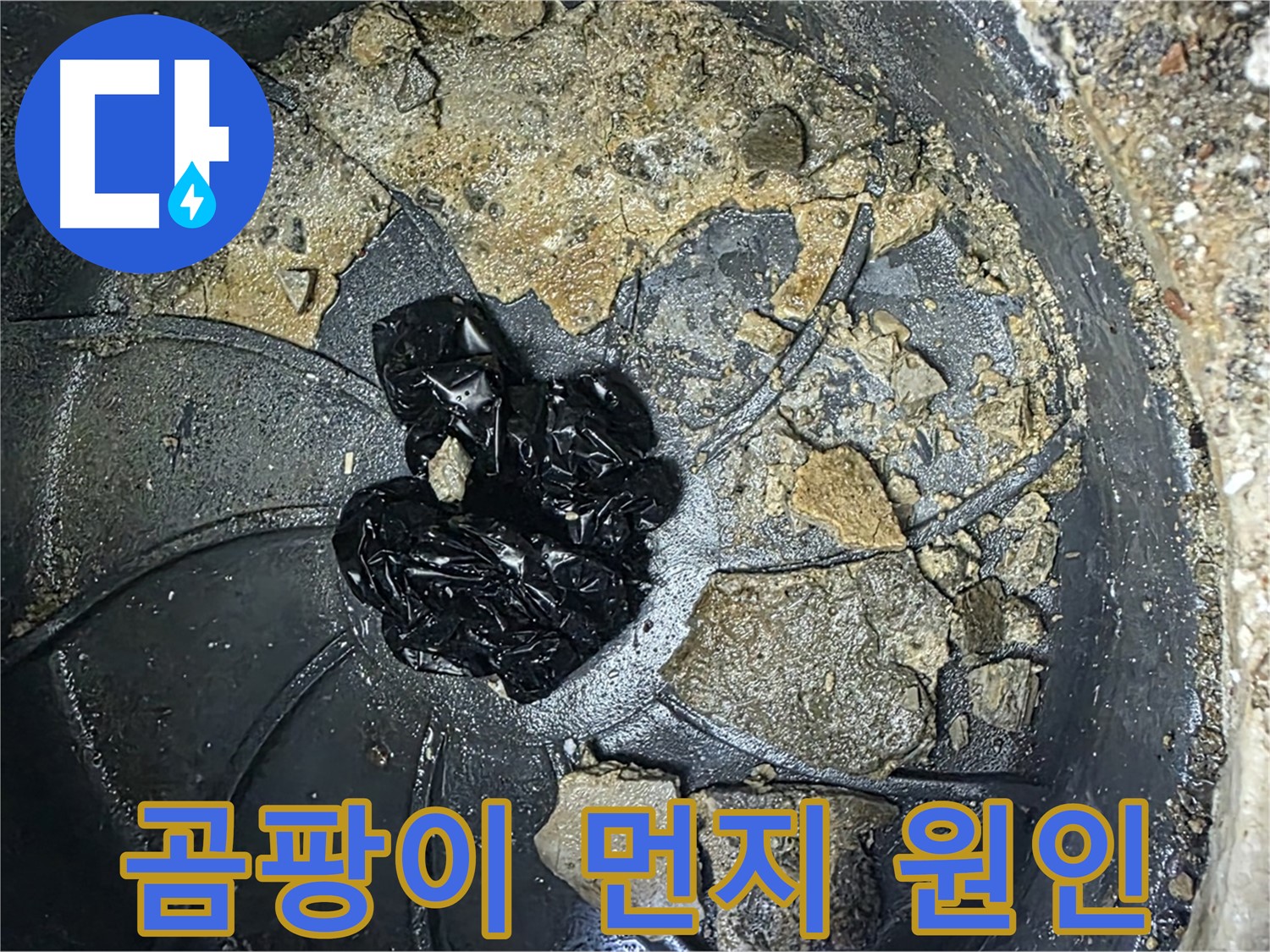 옥정 율정마을 아파트 - 우수관 막힘의 주범, 곰팡이와 먼지 덩어리를 확인하세요!