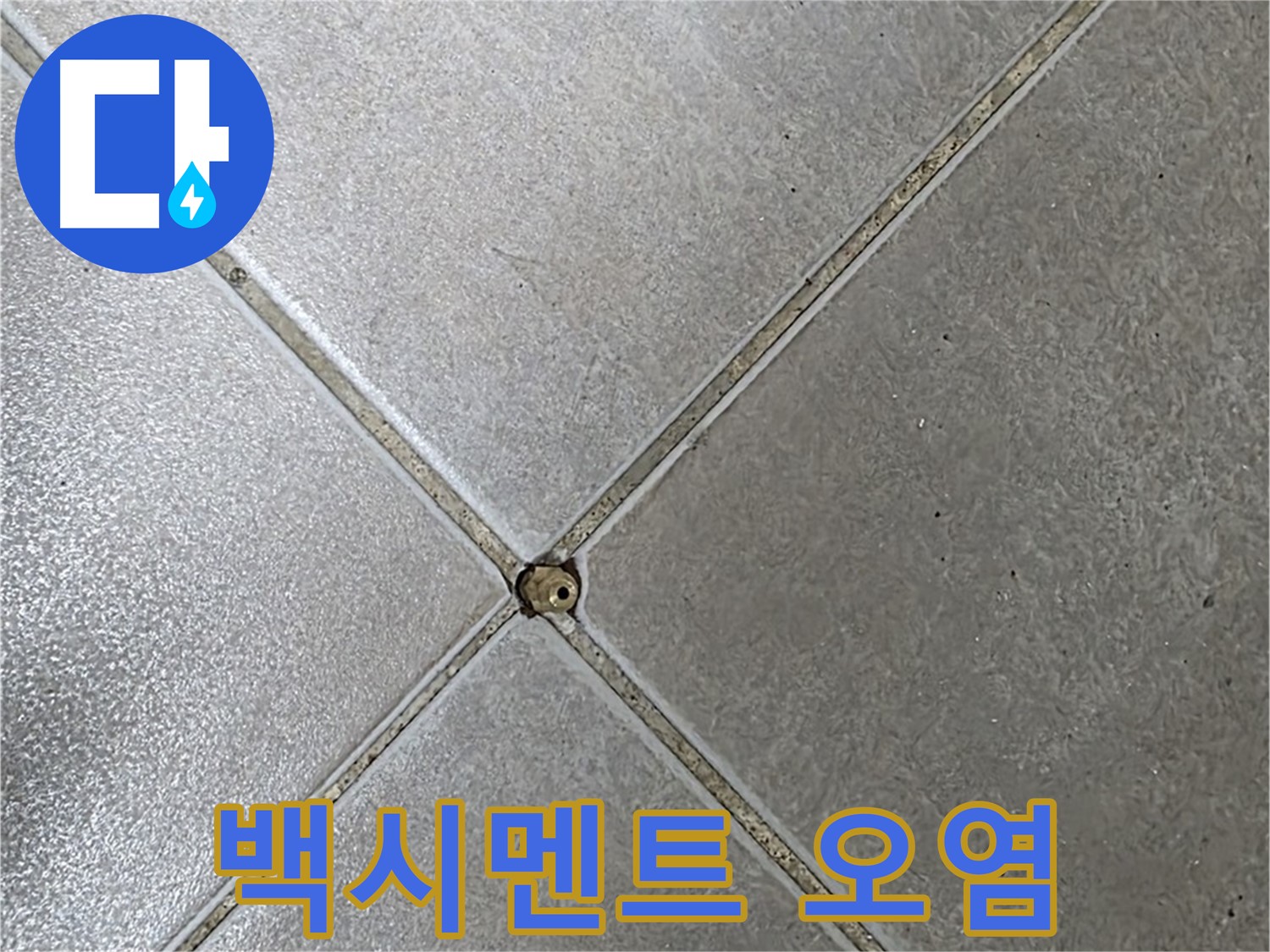 옥정 율정마을 아파트 타일 틈새 백시멘트 오염 - 누수 가능성 체크 사진입니다.