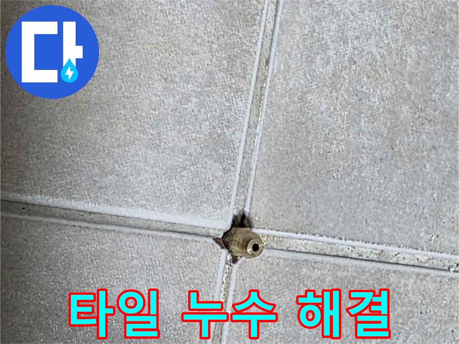 옥정 율정마을 아파트 화장실 타일 누수 - 완벽하게 해결하여 고객님의 만족도를 높였습니다.