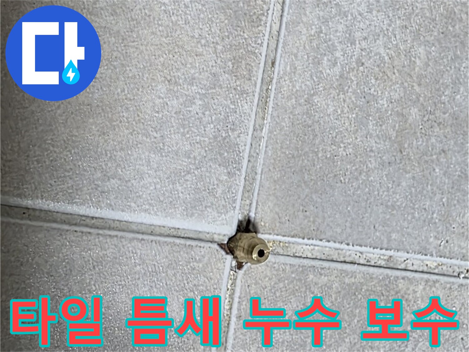 옥정 율정마을 아파트 화장실 타일 틈새 누수 보수 작업 - 꼼꼼한 시공으로 누수를 완벽하게 해결합니다.
