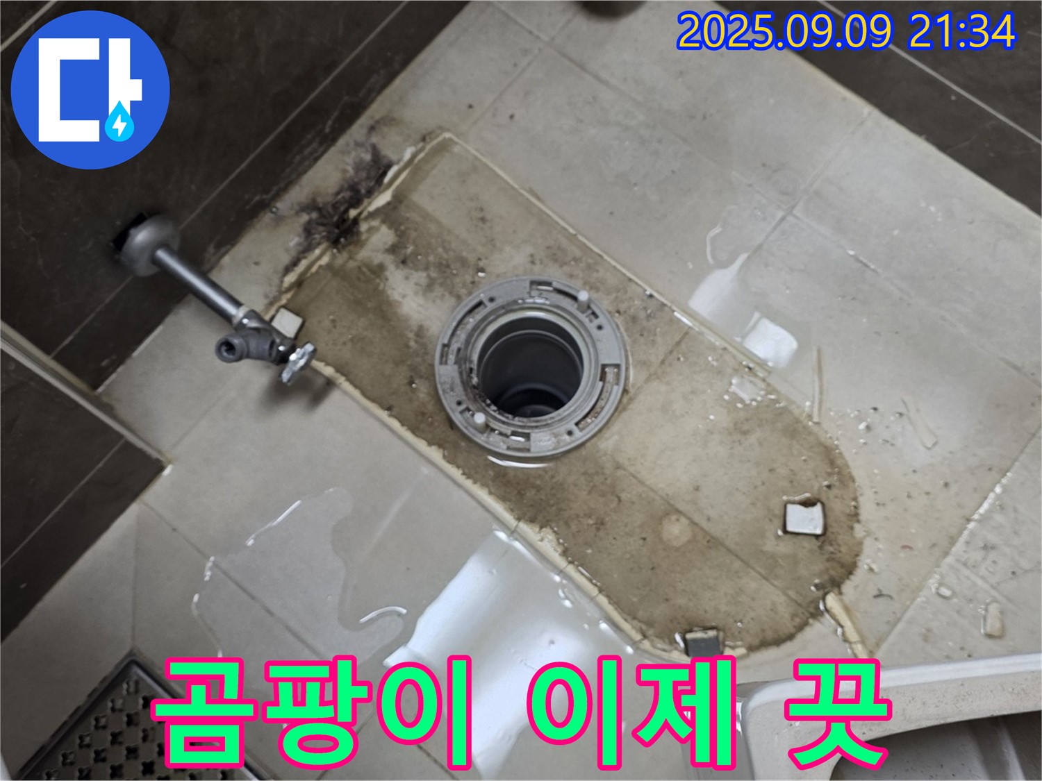 옥정동 율정마을 아파트 누수 - 변기 철거 후 누수, 완벽 방수로 곰팡이 걱정 이제 진짜 끗! 안심하세요!
