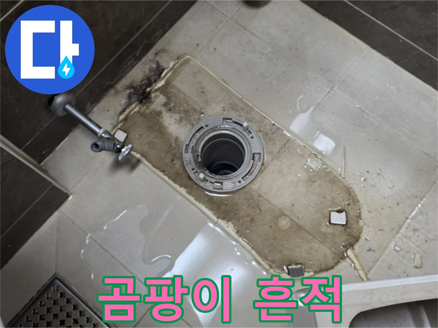 옥정동 율정마을 아파트 변기 누수 - 철거 후 바닥 배관 주변 곰팡이 흔적 심각