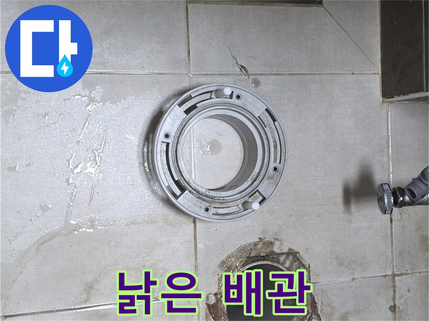 옥정동 율정마을 아파트 변기 하수구 누수 - 낡은 배관 상태 점검