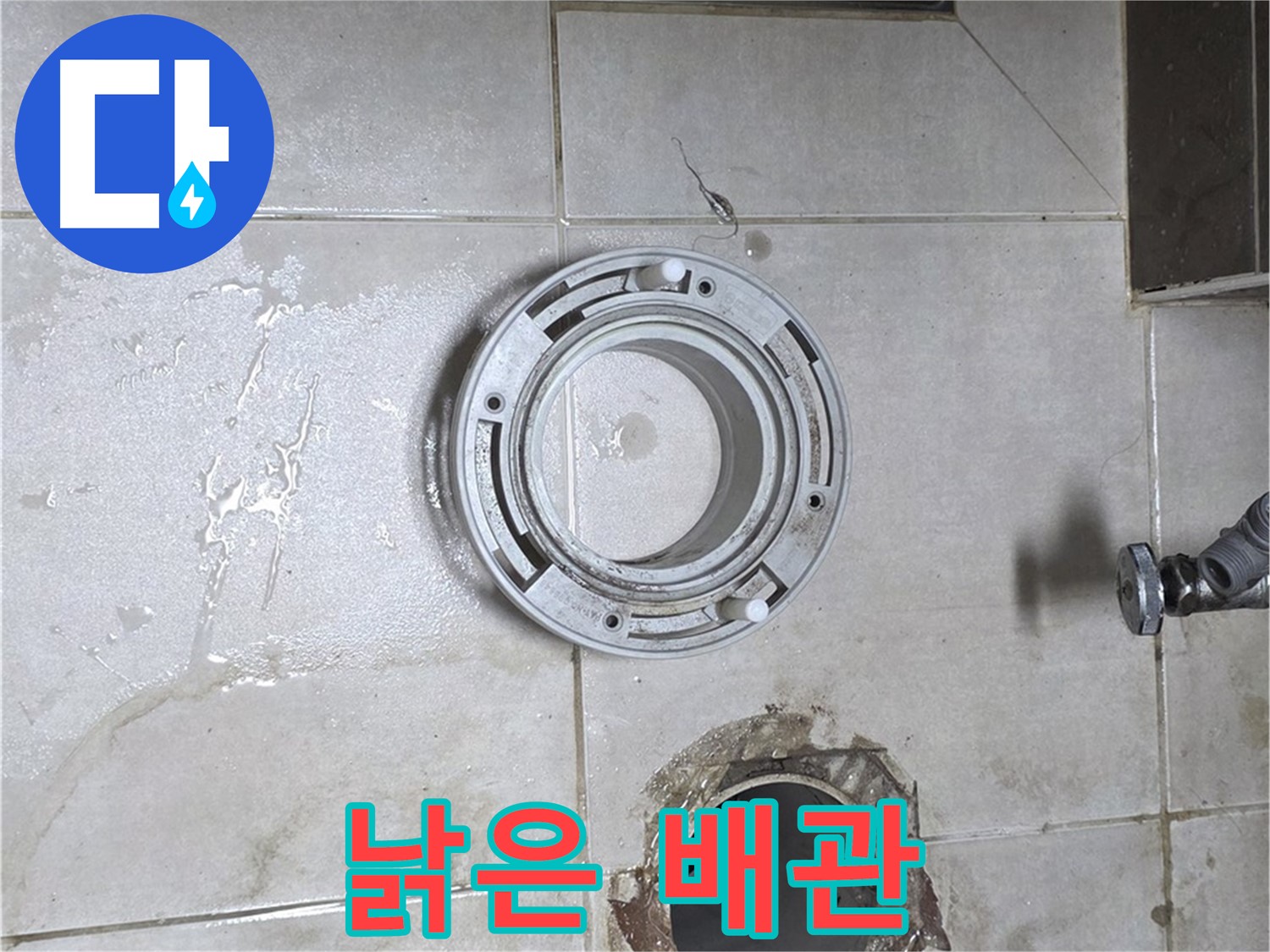 옥정동 율정마을 아파트 변기 하수구 누수 - 낡은 배관 상태 점검