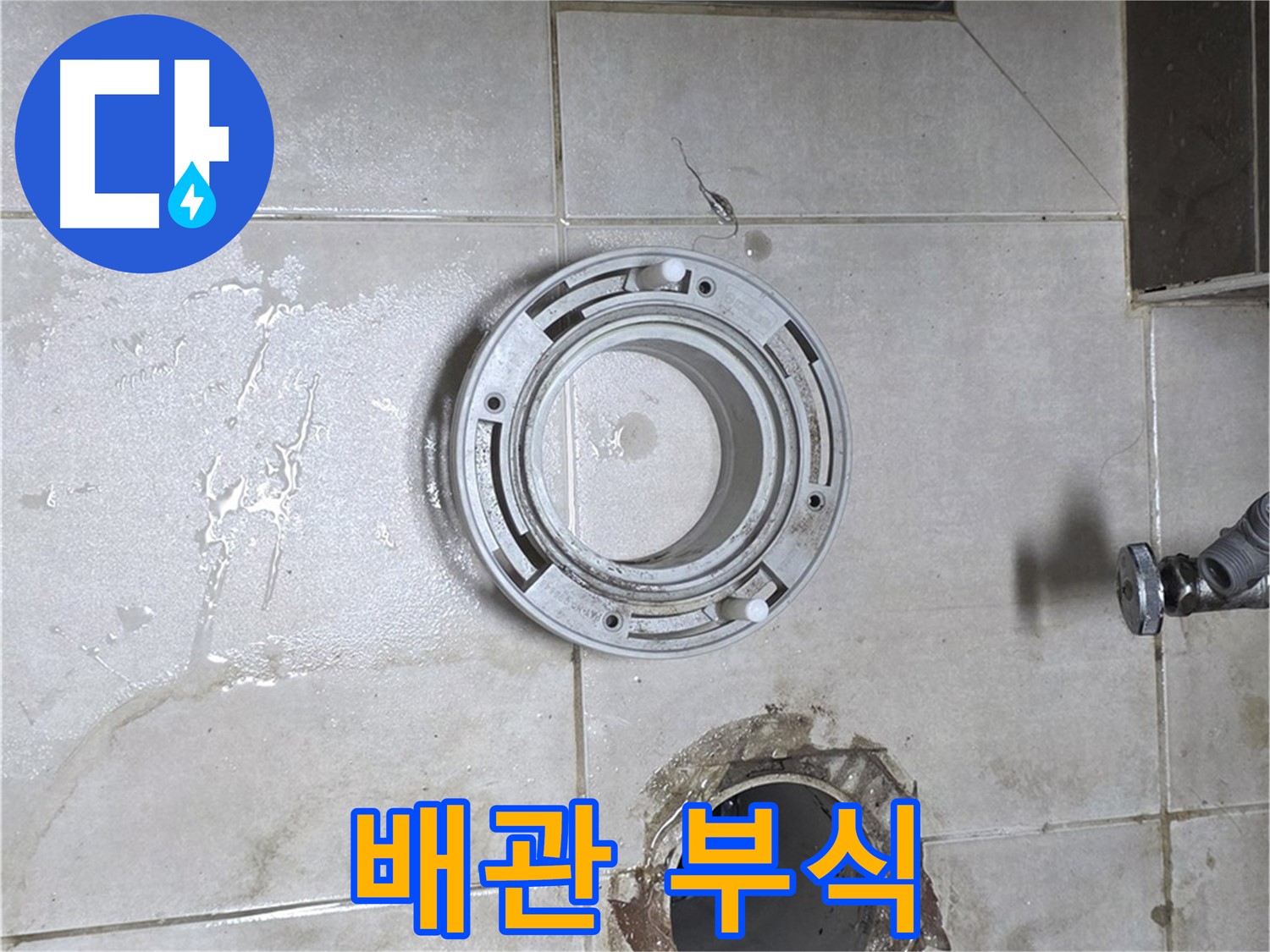 옥정동 율정마을 아파트 변기 하수구 누수 - 오래된 배관 부식 상태 확인