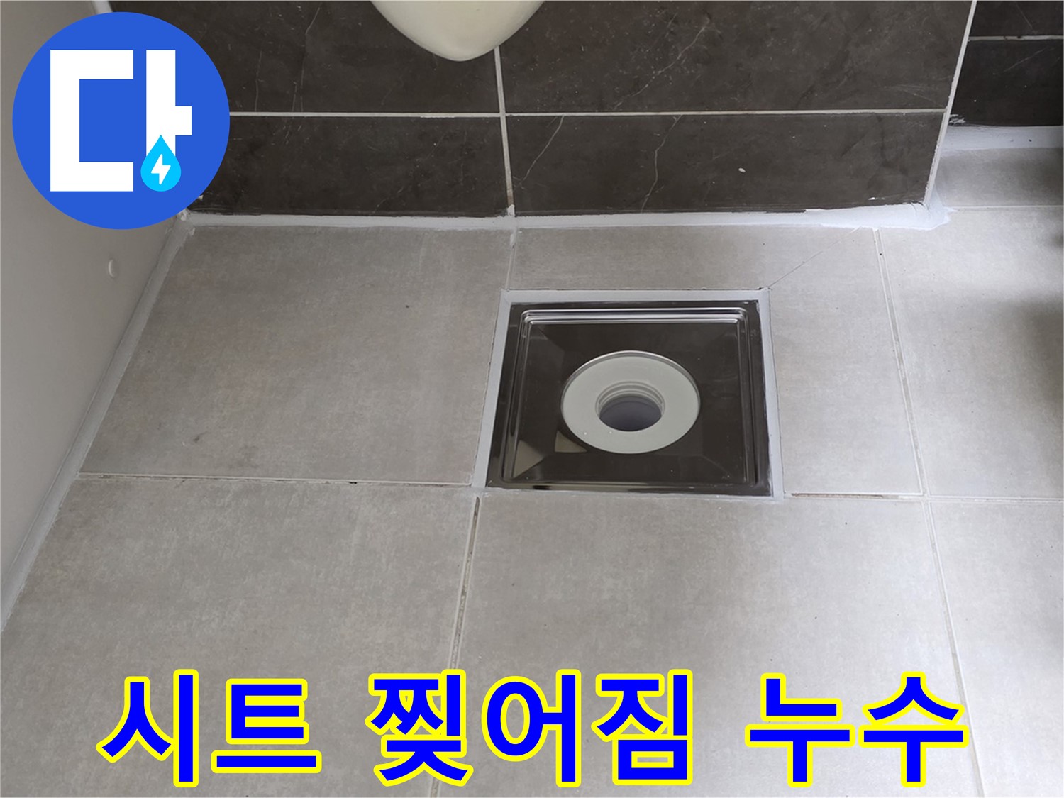 옥정동 율정마을 아파트 욕실 배수구 주변 방수 시트 찢어짐 누수 - 찢어진 시트 제거 후 재시공으로 완벽 방수!