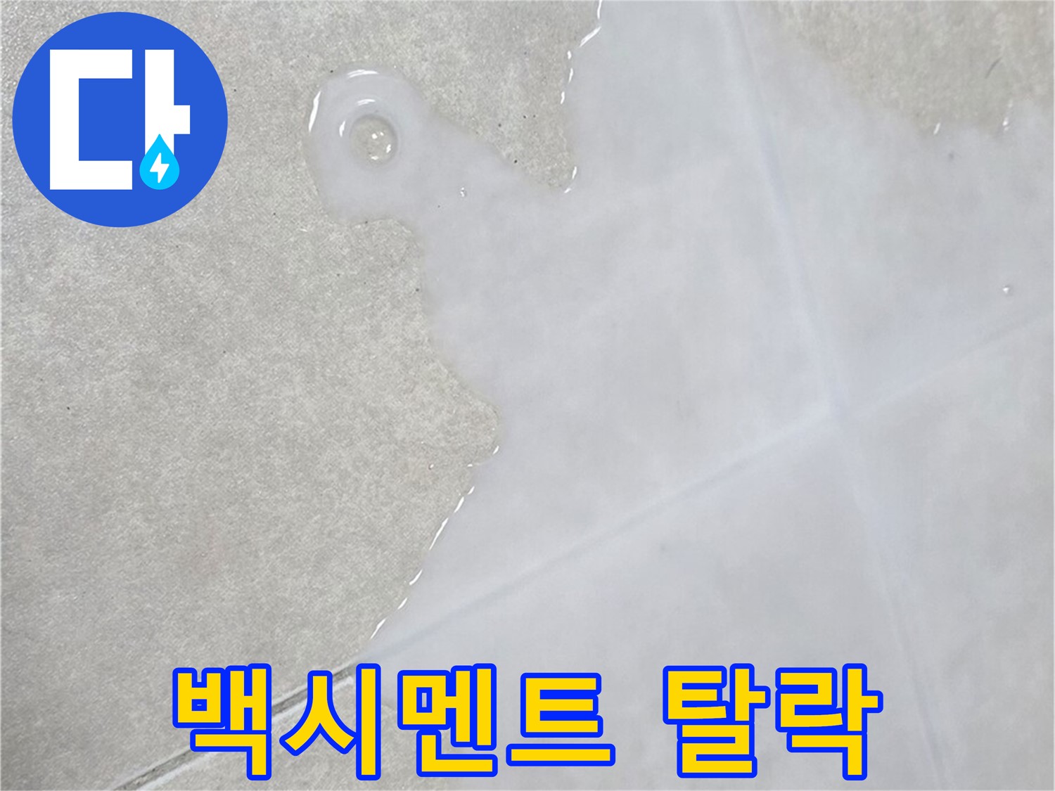 옥정동 율정마을 아파트 타일 틈새 백시멘트 탈락 - 신속한 점검 및 보수 서비스