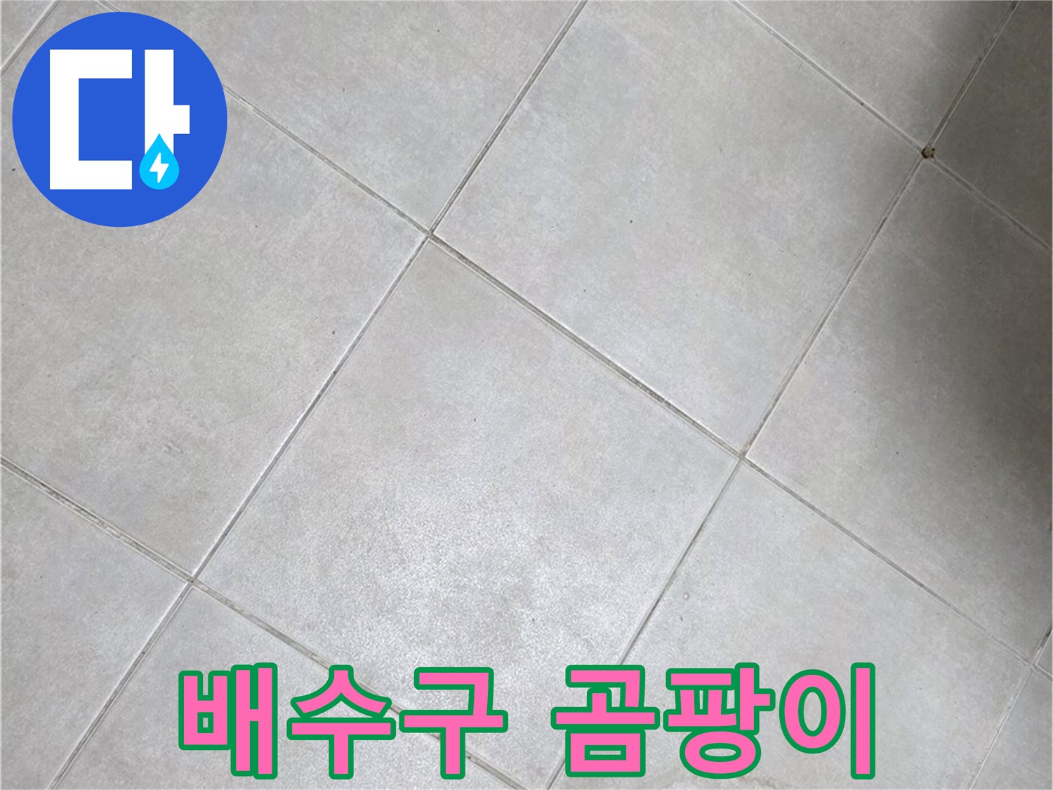 욕실 배수구 주변의 곰팡이 - 누수 신호일 수 있습니다