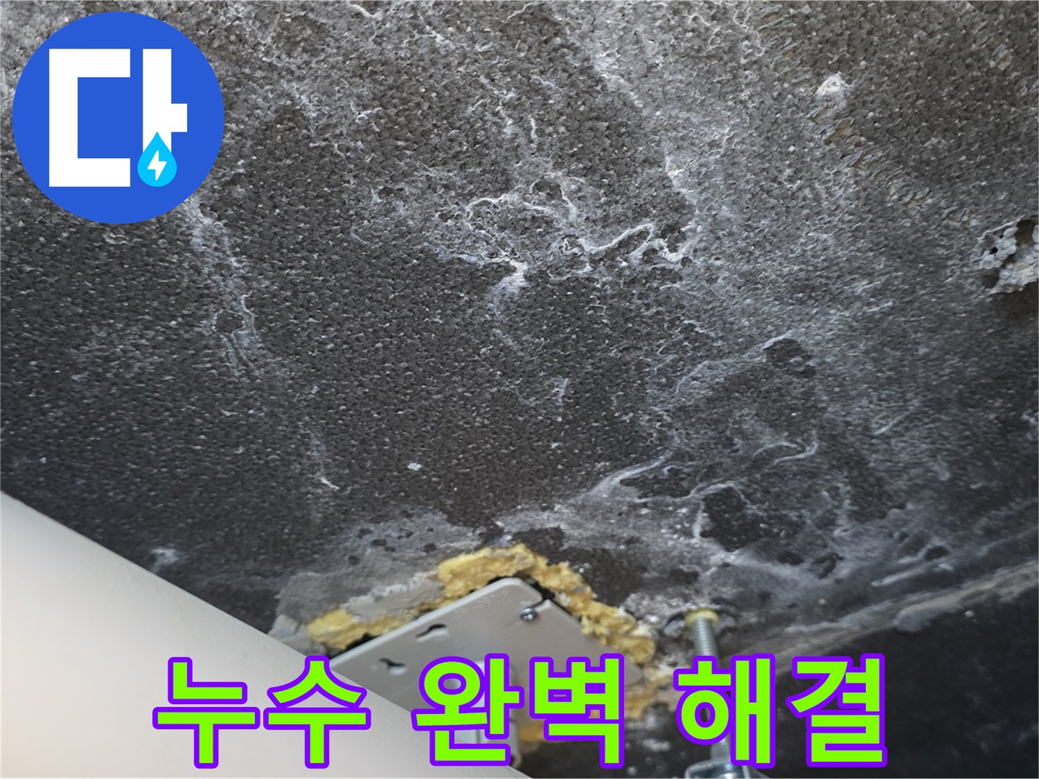 동패동 아파트 천장 누수 - 누수 문제 완벽 해결 완료