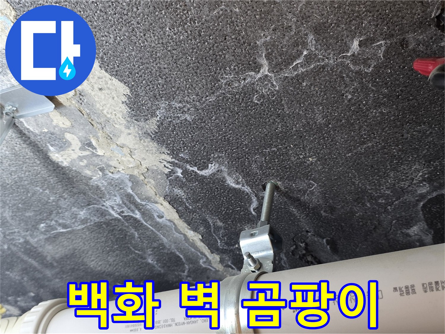 배관 백화 - 벽 곰팡이 - 배관 연결 부위의 백화 현상과 주변 벽 곰팡이 발생을 확인합니다.