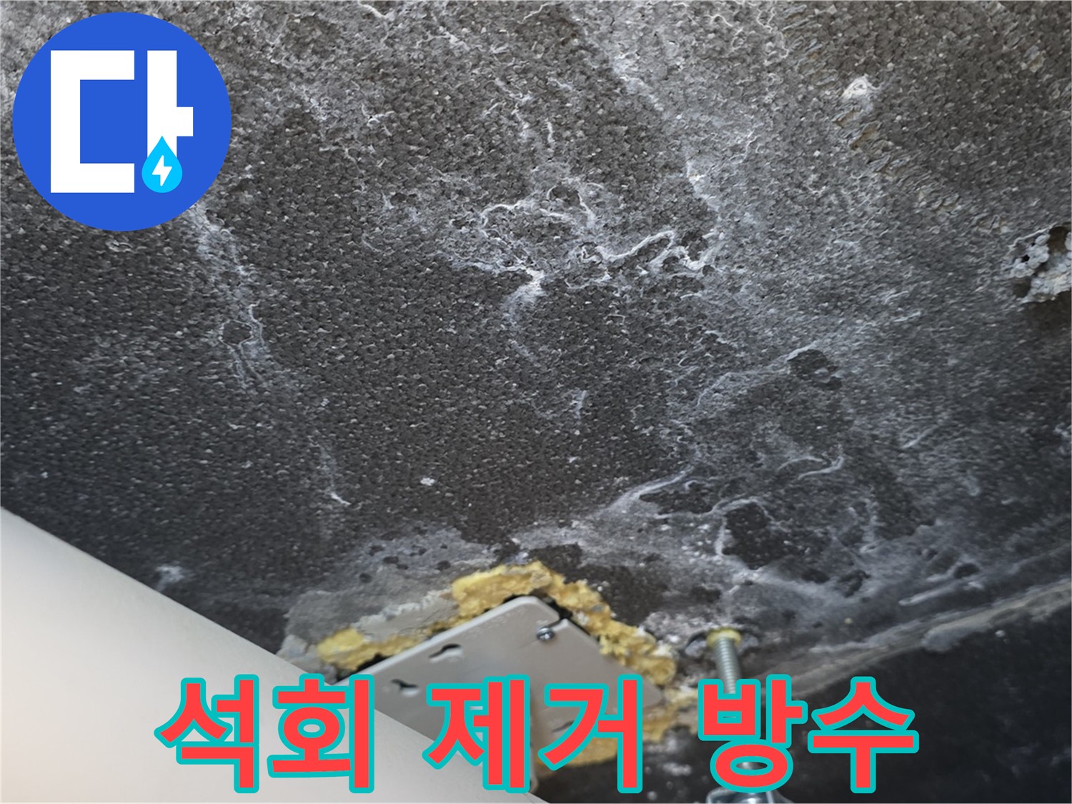 운정 어반프라임 누수 - 천장 석회 제거 후 완벽 방수 준비 완료