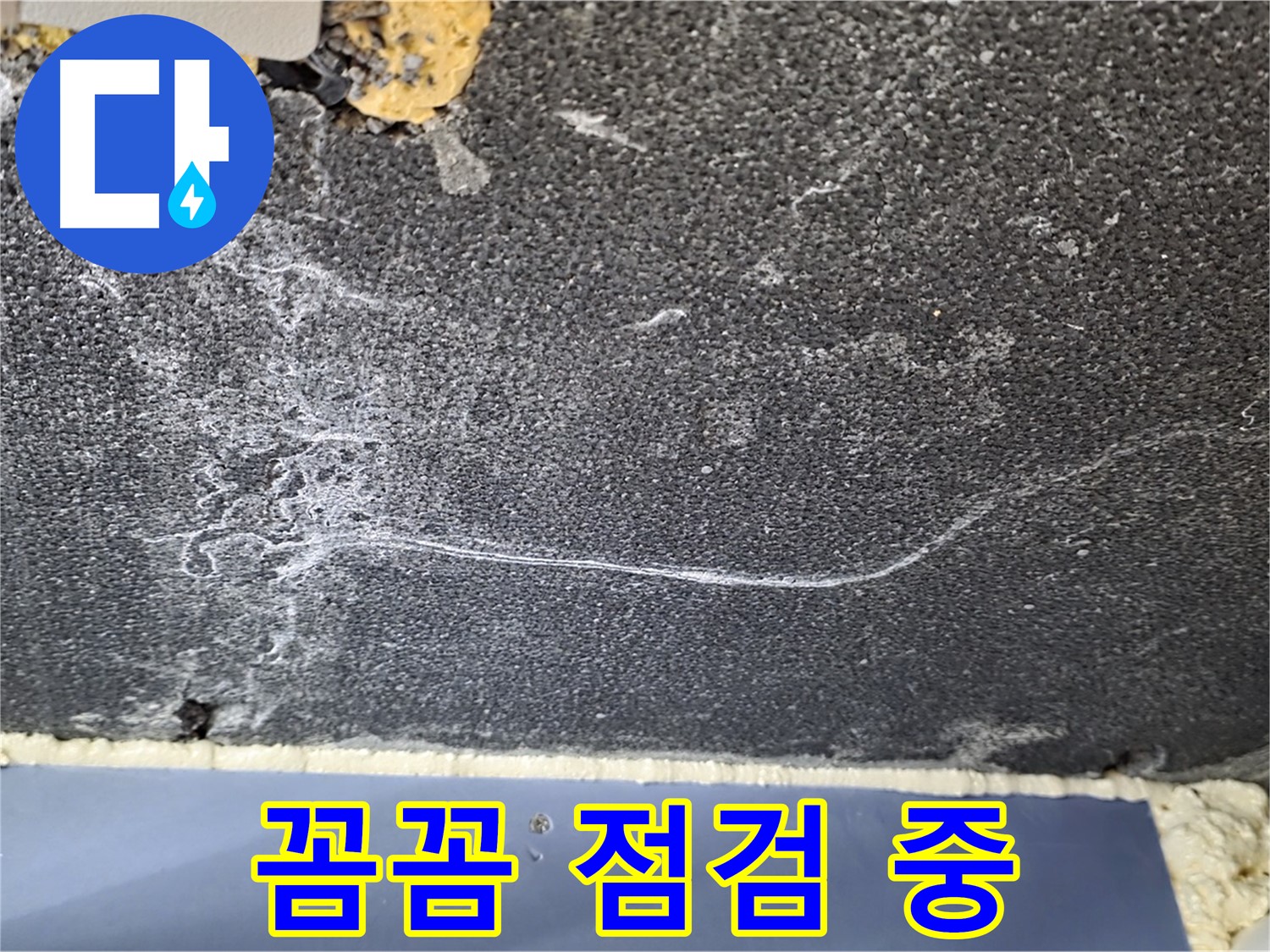 운정 천장 누수 해결 - 석고보드 상태 꼼꼼하게 점검 중