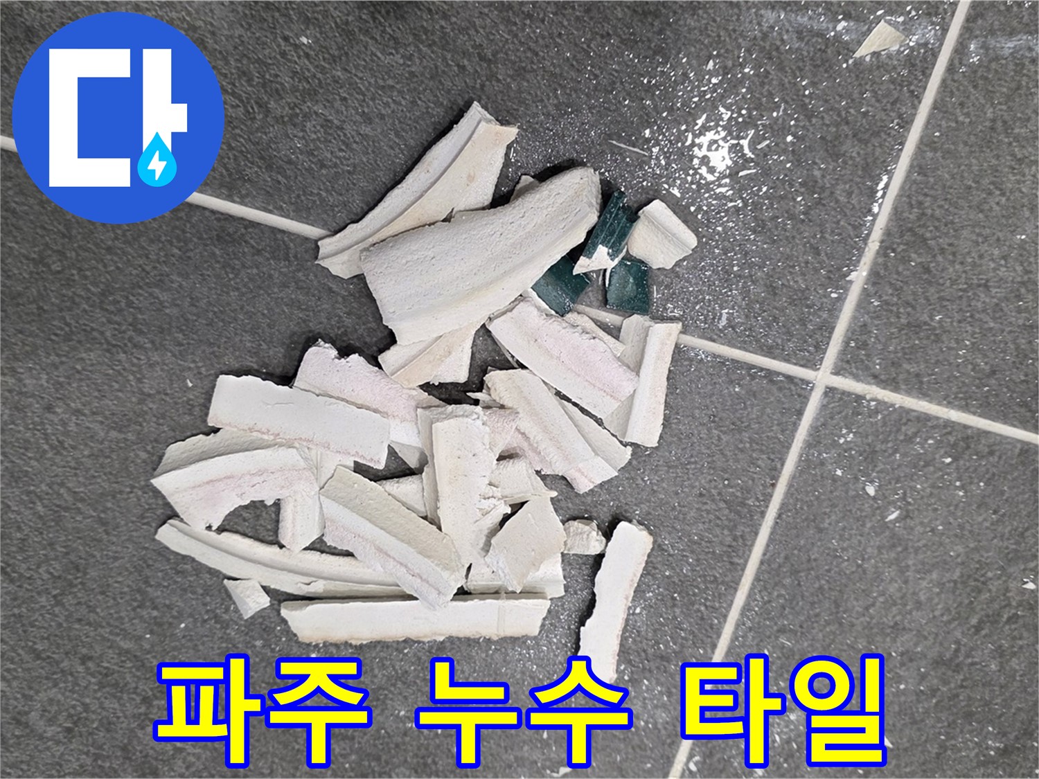 파주 누수 현장 - 깨진 타일 속 숨겨진 누수 지점을 찾아 정밀 탐지하는 모습입니다.