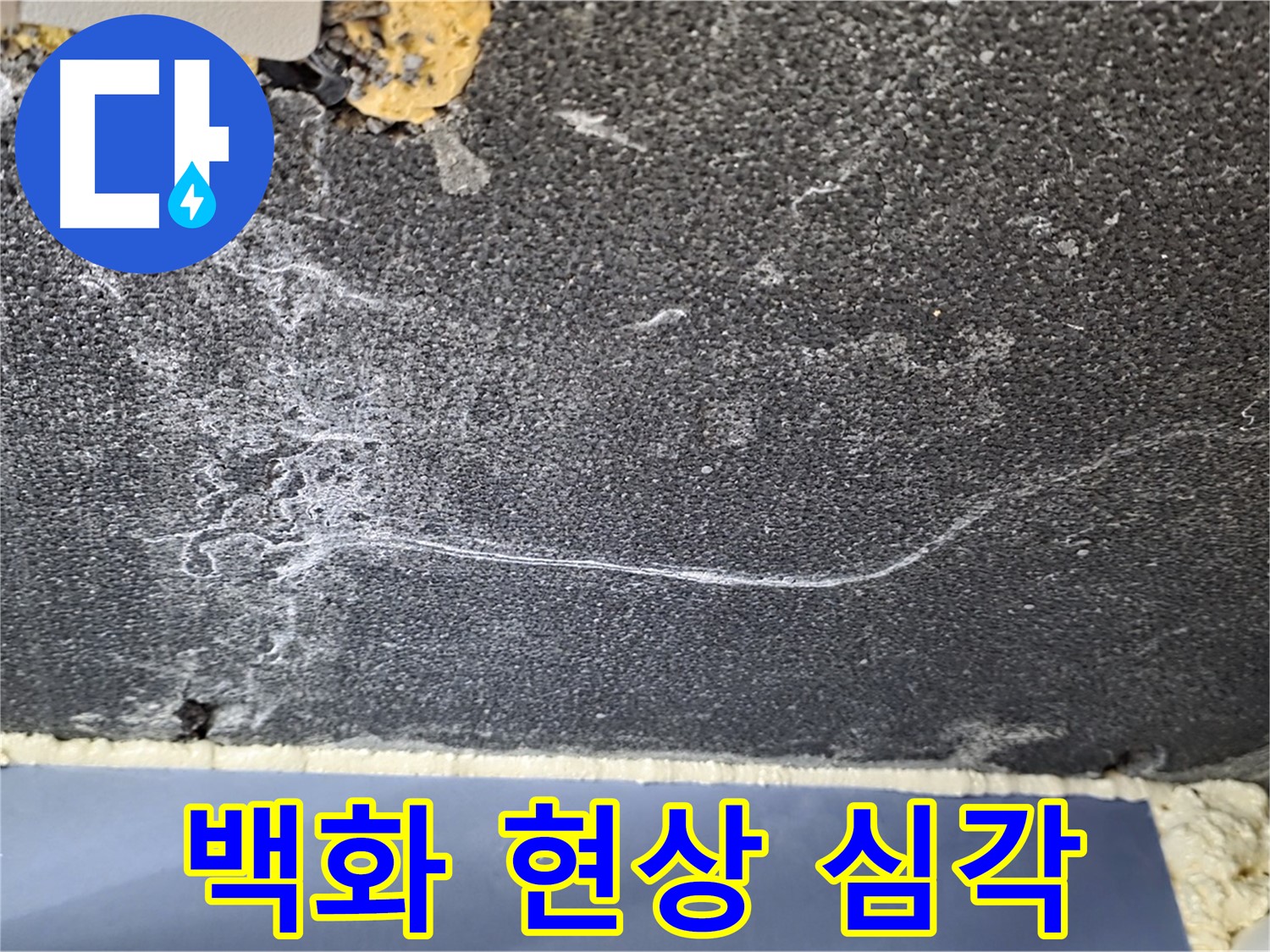 파주 동패동 아파트 천장 누수 - 백화 현상 심각, 누수 범위 검사