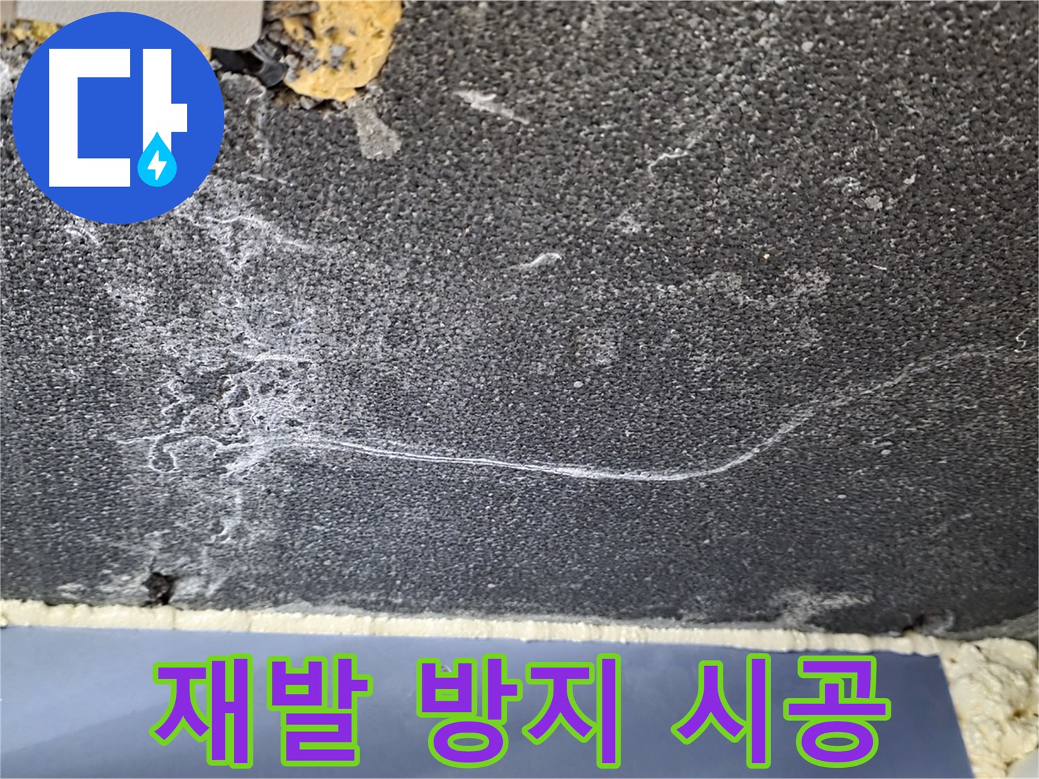 파주 동패동 천장 누수 해결 - 이끼 재발 방지 완벽 시공 약속