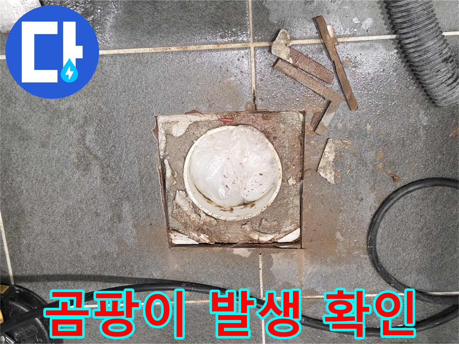 파주 욕실 배수구 누수 - 타일 제거 후 곰팡이 발생 여부를 확인