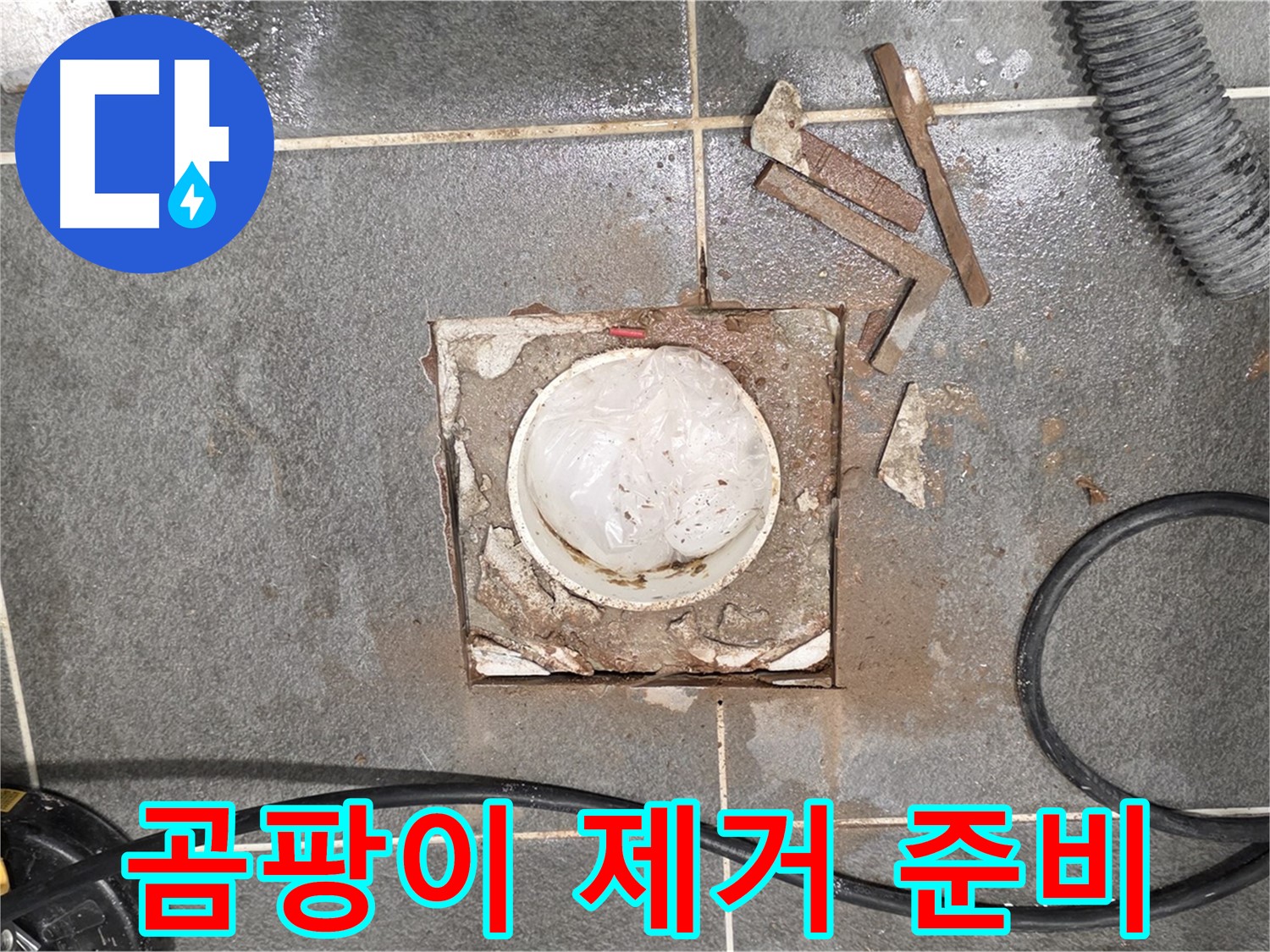 파주 욕실 배수구 누수 - 타일 제거 후 곰팡이 발생 확인 및 제거 준비