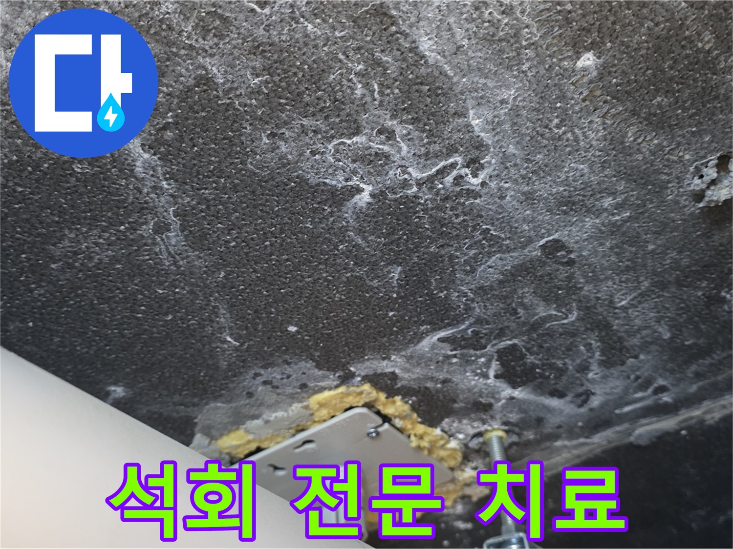 파주시 동패동 누수 - 석회 전문 치료 및 재발 방지 전문 시공 진행