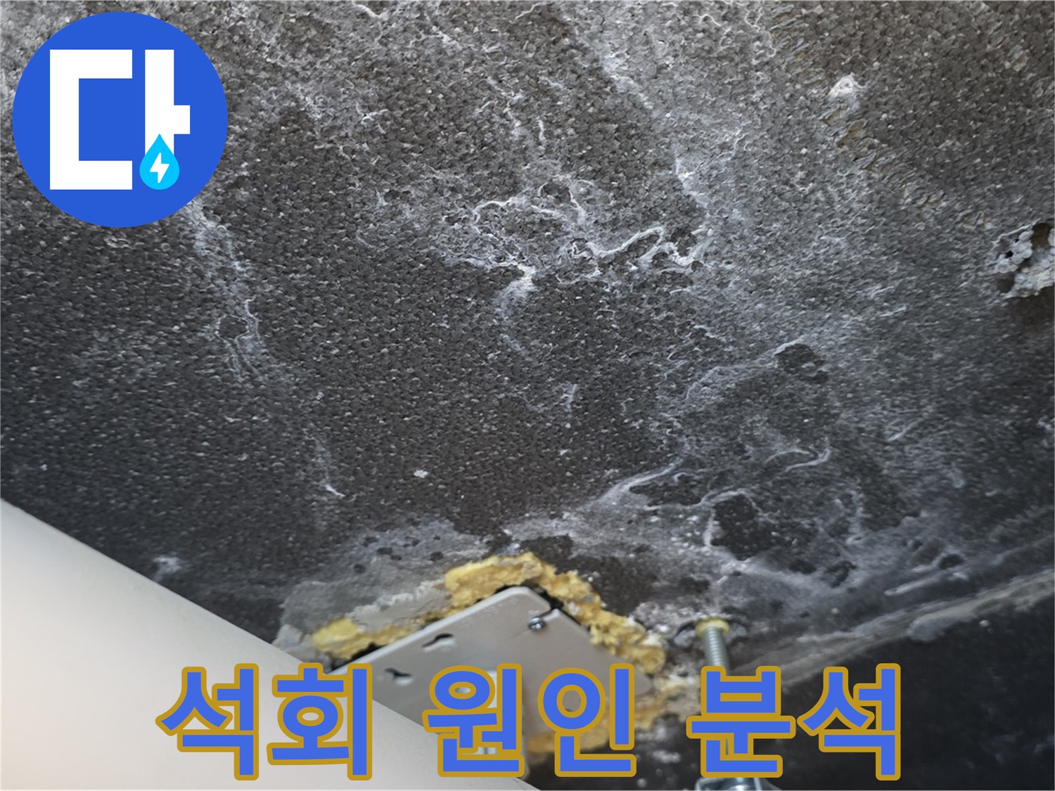 파주시 동패동 누수 - 천장 석회 누수 원인 정밀 분석 과정