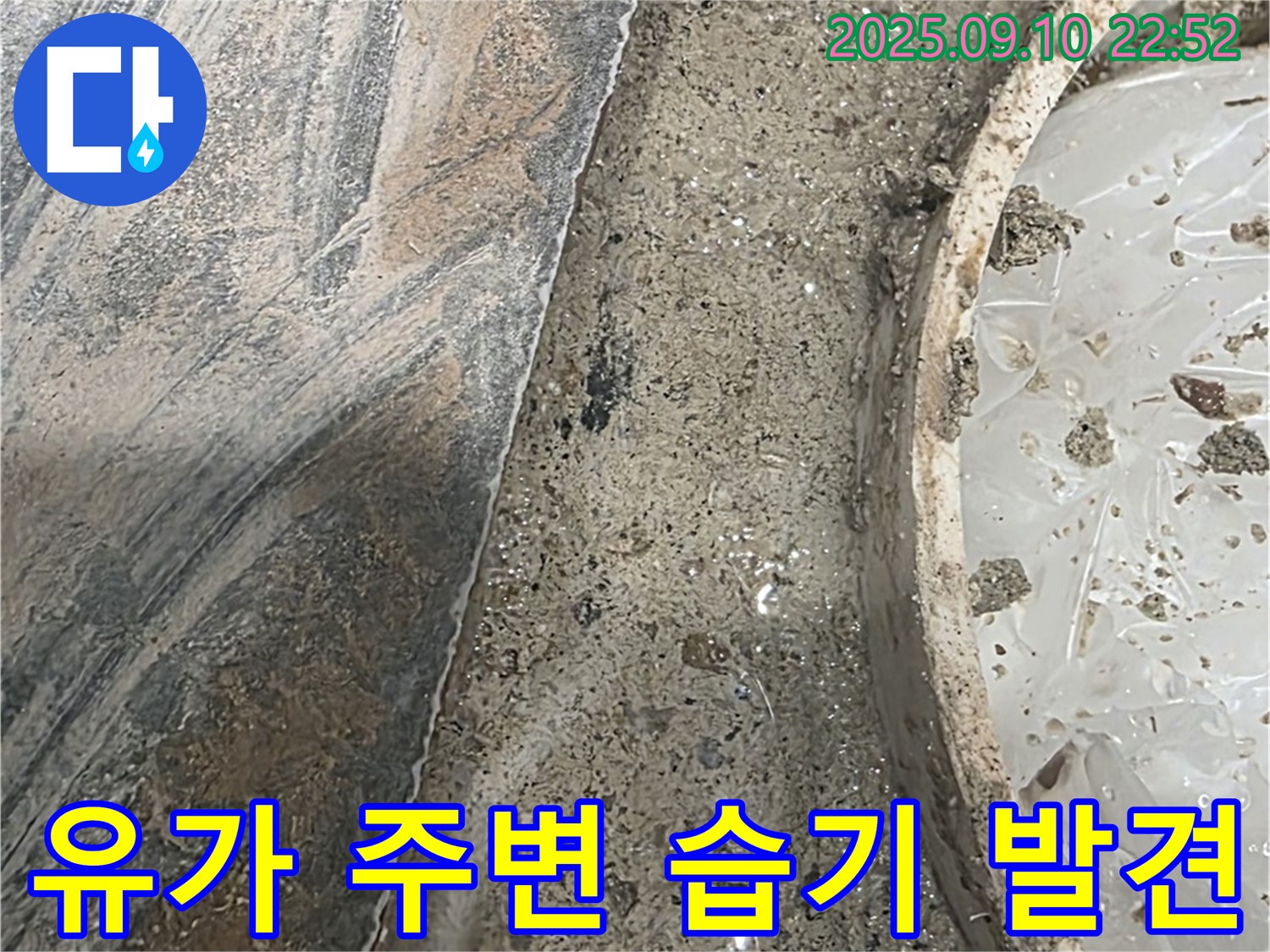파주시 동패동 누수 현장 - 유가 주변 굴착 후 습기 발견. 누수 원인 파악 중