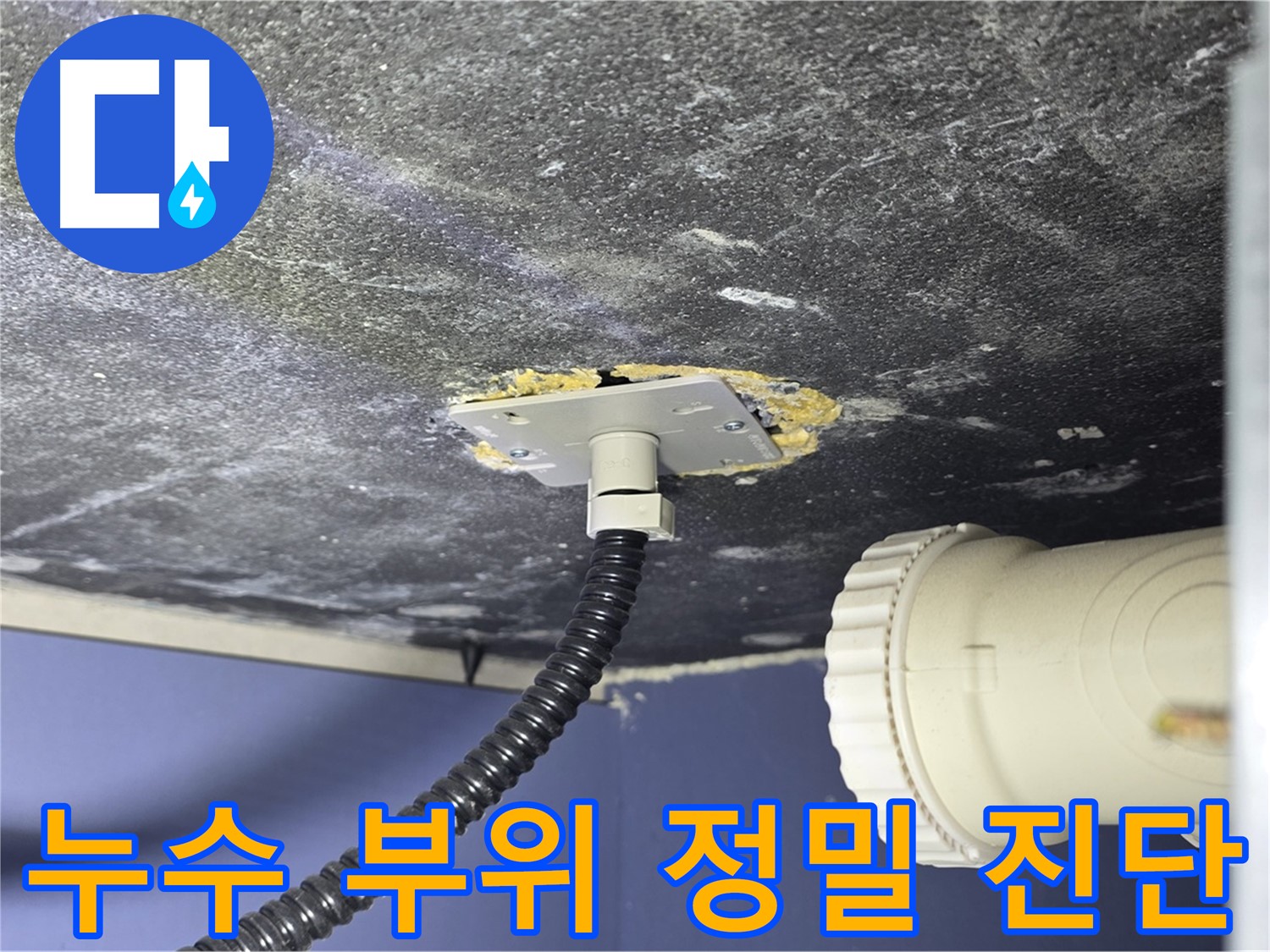 파주시 동패동 아파트 배수관 누수 - 누수 부위를 정밀하게 진단하여 정확한 원인 파악