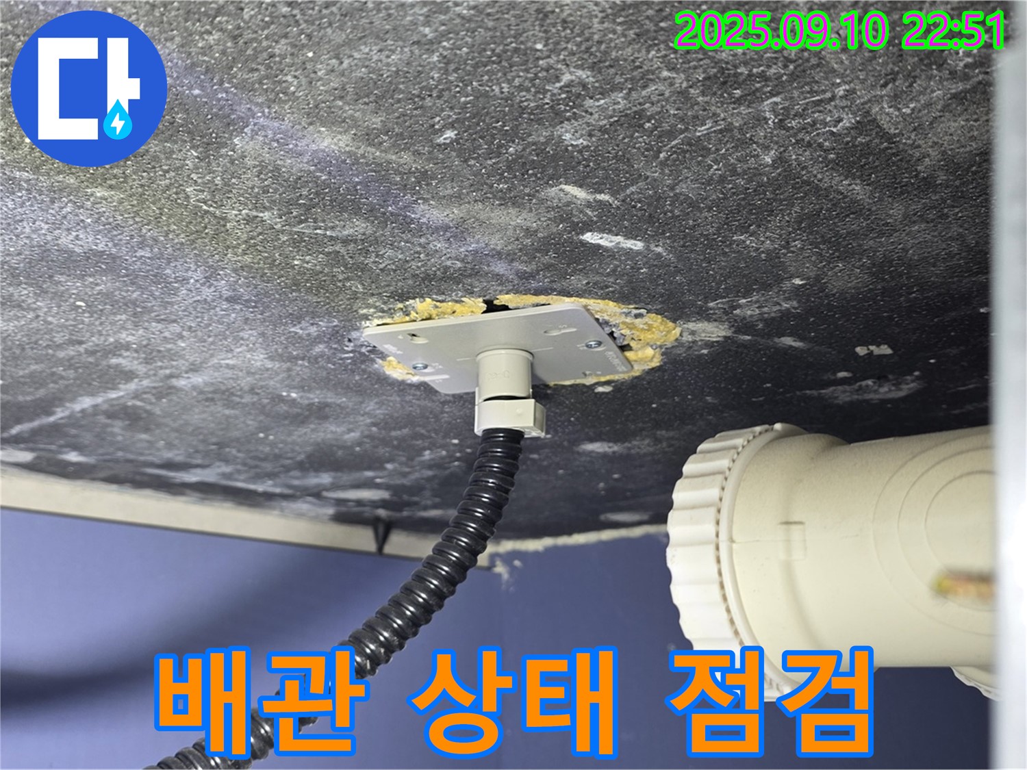 파주시 동패동 아파트 싱크대 누수 - 배관 연결 상태를 꼼꼼하게 점검하는 모습 - 숙련된 기술로 정확하게 진단