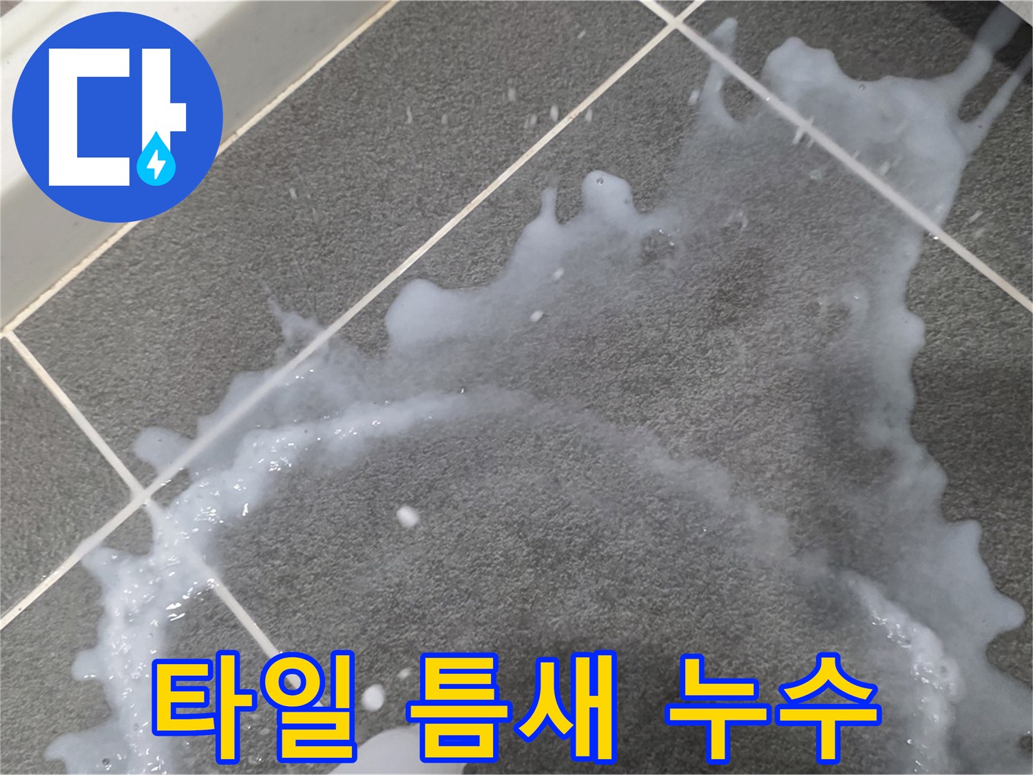 파주시 동패동 아파트 타일 틈새에서 발생하는 누수 - 전문 장비를 이용한 정확한 누수 위치 탐지 및 해결.