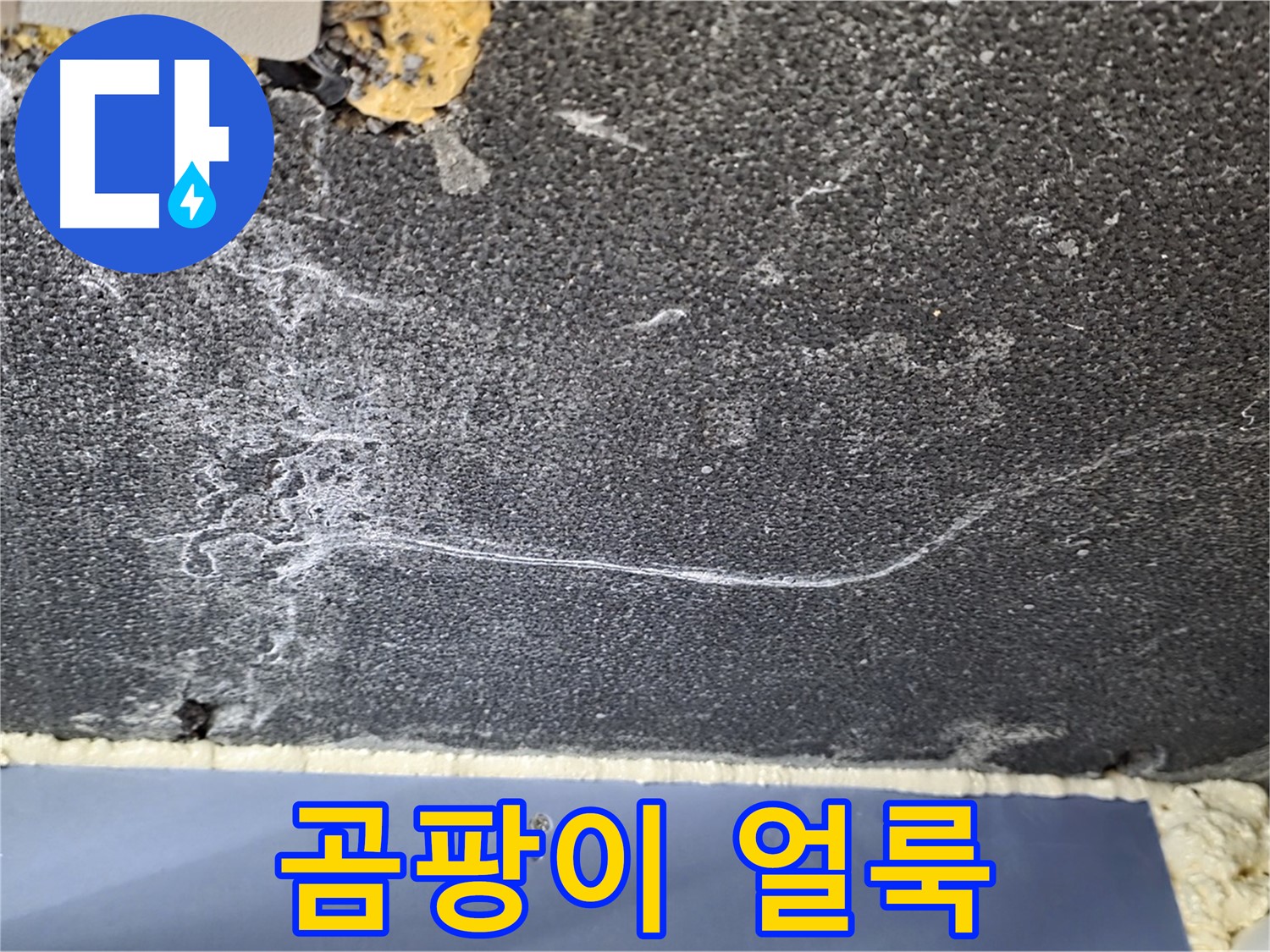 파주시 동패동 운정어반프라임 아파트 누수 - 곰팡이 얼룩으로 누수 의심
