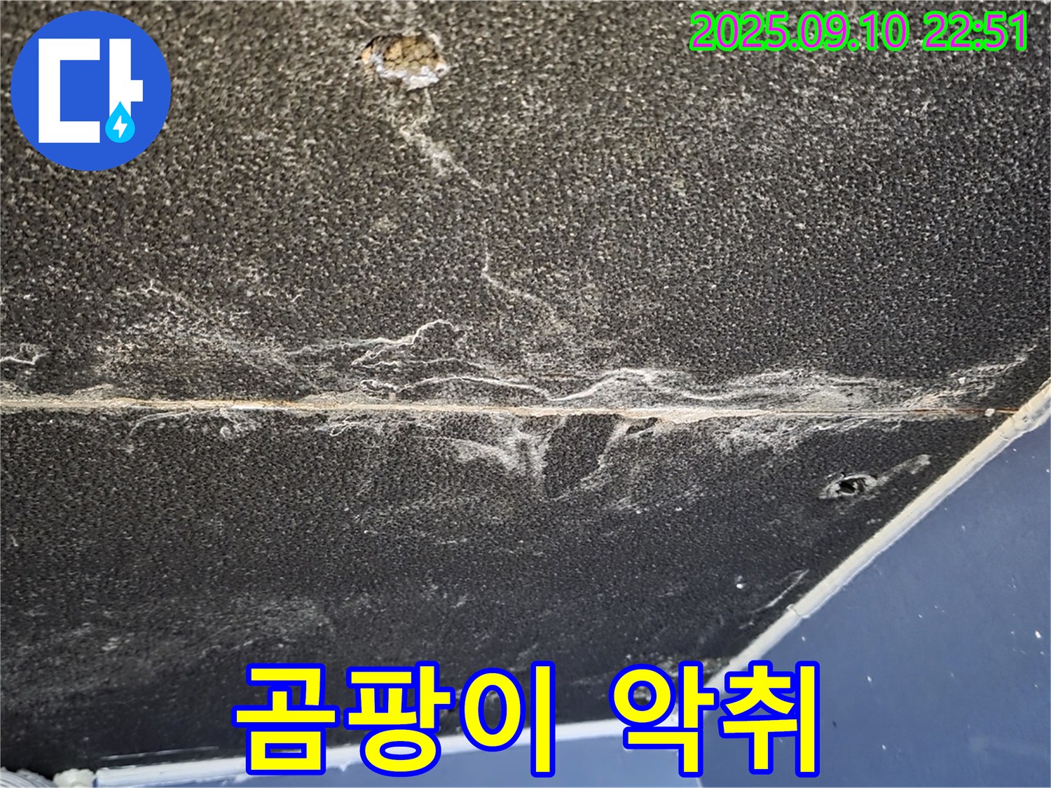 파주시 동패동 운정어반프라임 아파트 천장 - 곰팡이 번식으로 인해 악취가 나는 천장 누수 현장입니다.