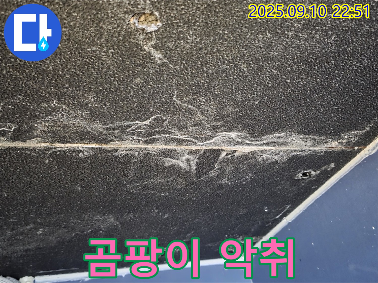파주시 동패동 운정어반프라임 아파트 천장 - 곰팡이 번식으로 인해 악취가 나는 천장 누수 현장입니다.