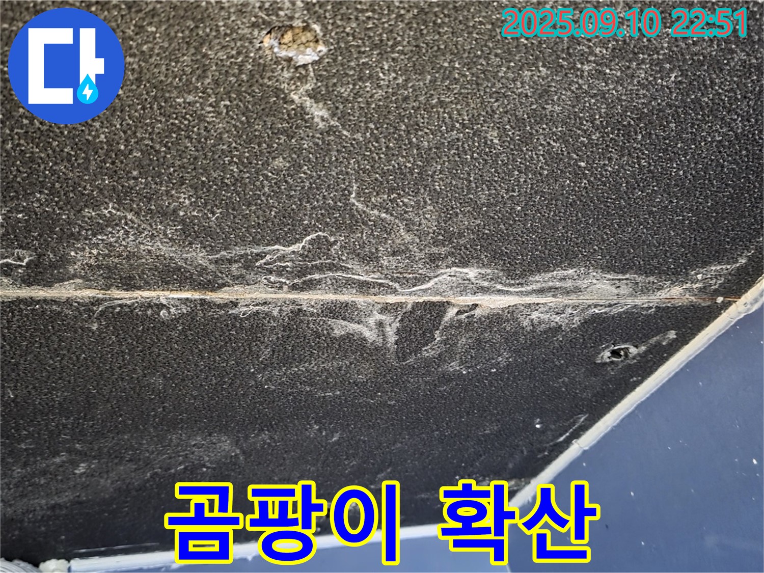 파주시 동패동 운정어반프라임 아파트 천장 - 곰팡이가 빠르게 확산되고 있는 모습입니다.