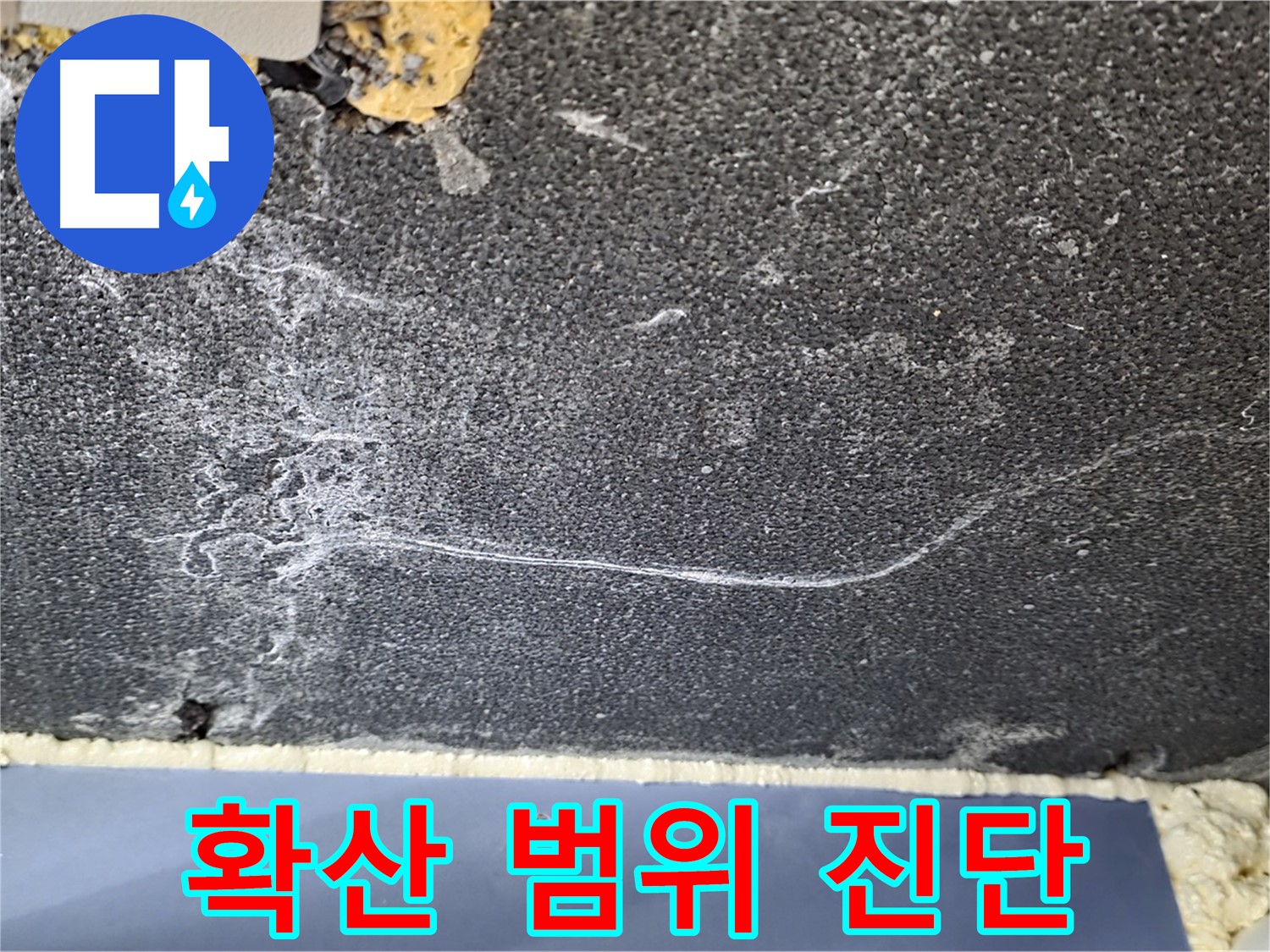 파주시 동패동 운정어반프라임 천장 누수 - 곰팡이 확산 범위 정밀 진단