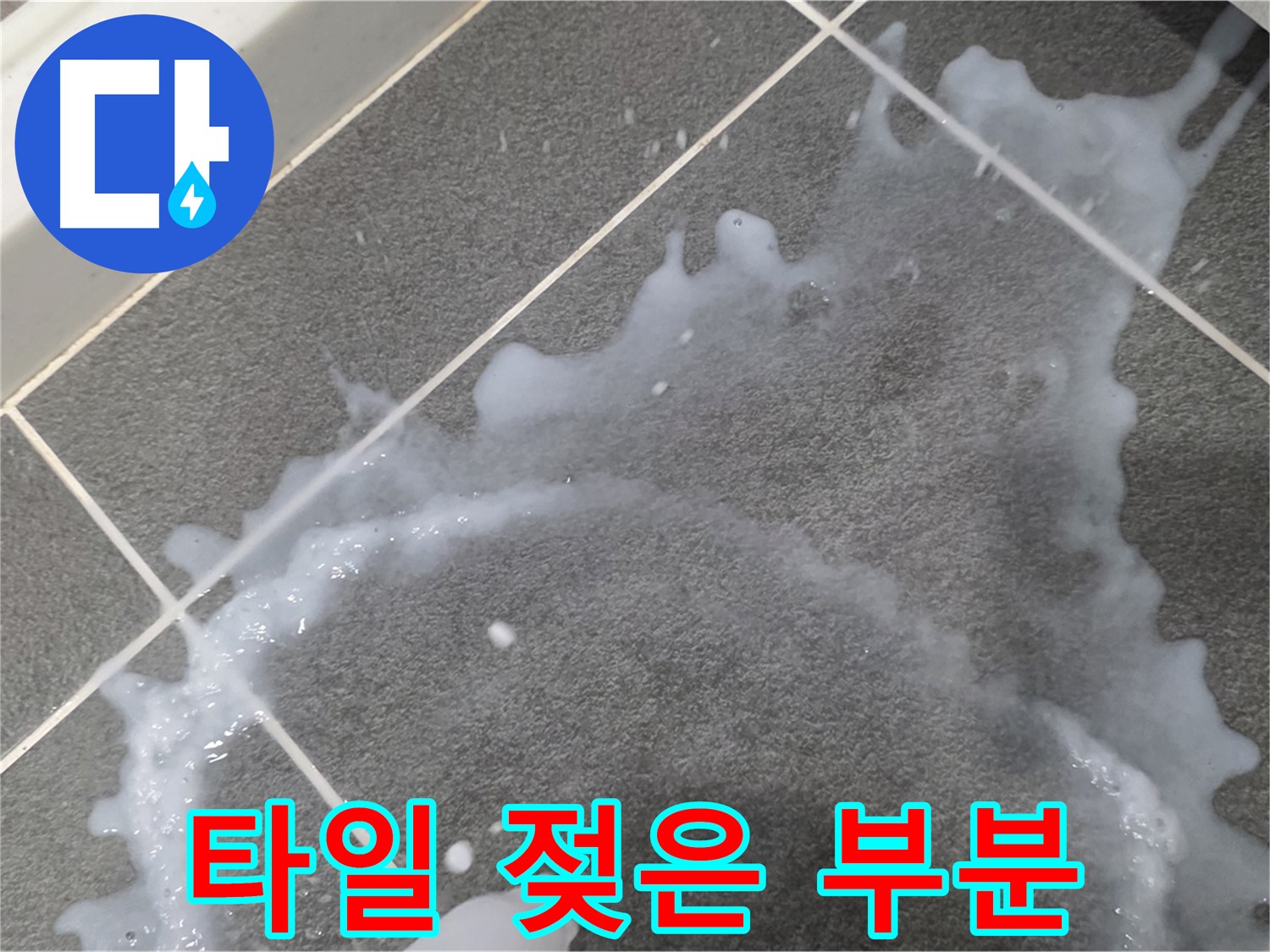 파주시 동패동 운정어반프라임 타일 젖은 부분 - 누수탐지 전문 업체가 초기 누수 진단과 책임감 있는 시공으로 문제를 해결합니다.