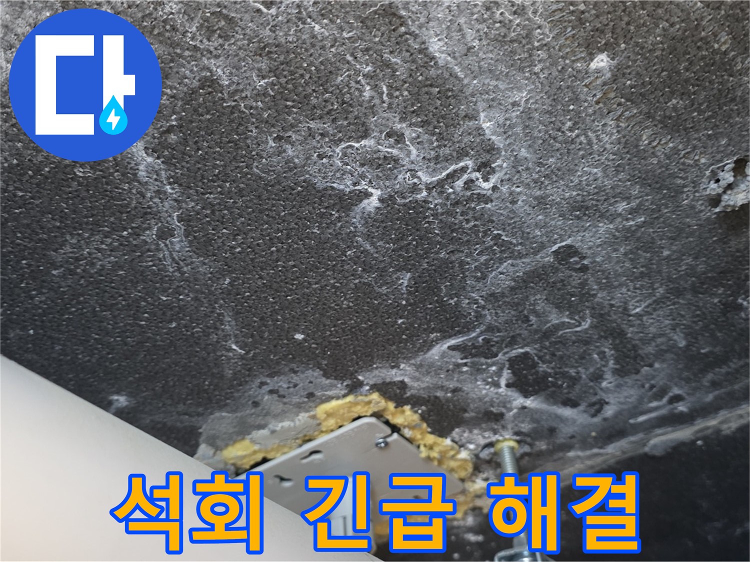 파주시 동패동 천장 누수 석회 - 긴급 누수 신속 해결