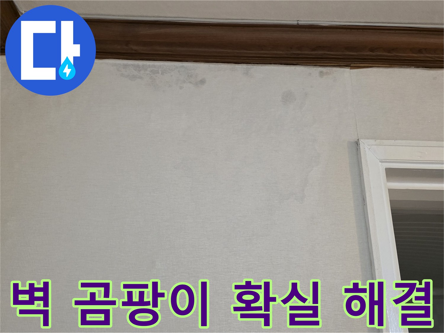 노원구 중계동 현대5차 211동 벽 곰팡이 - 확실한 누수 해결 및 곰팡이 제거 보장