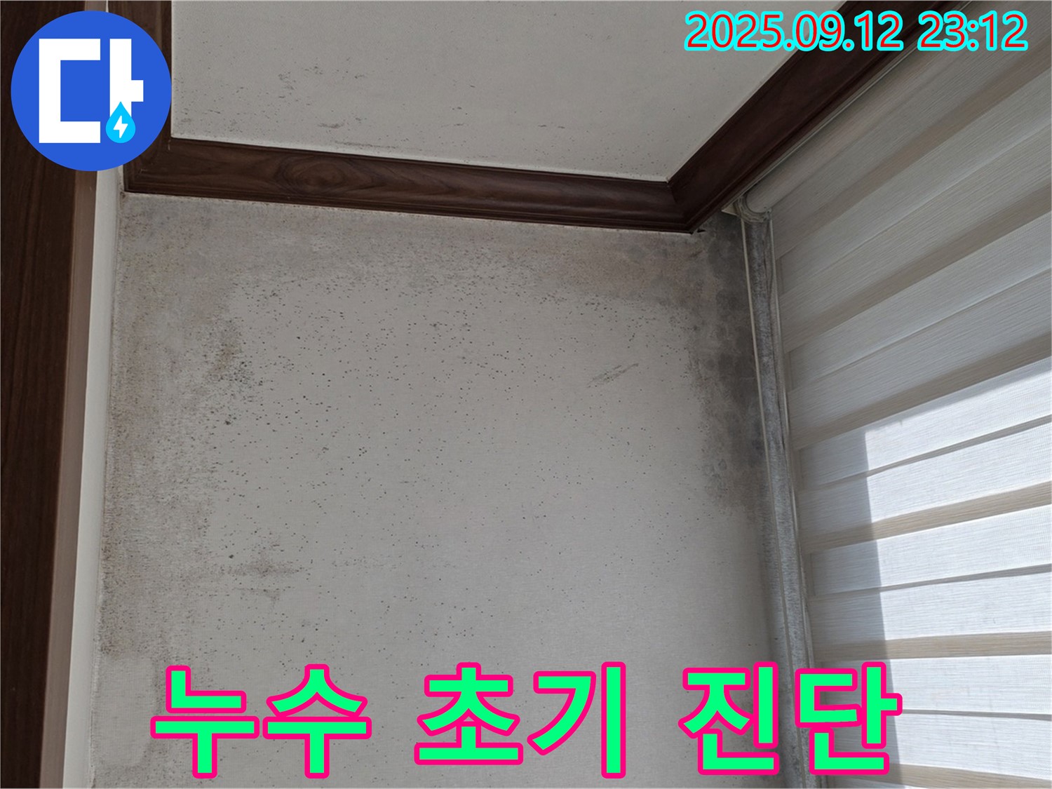 노원구 중계동 현대5차 211동 아파트 누수 현장 - 곰팡이와 함께 누수 초기 증상을 발견하고 진단하는 모습입니다.