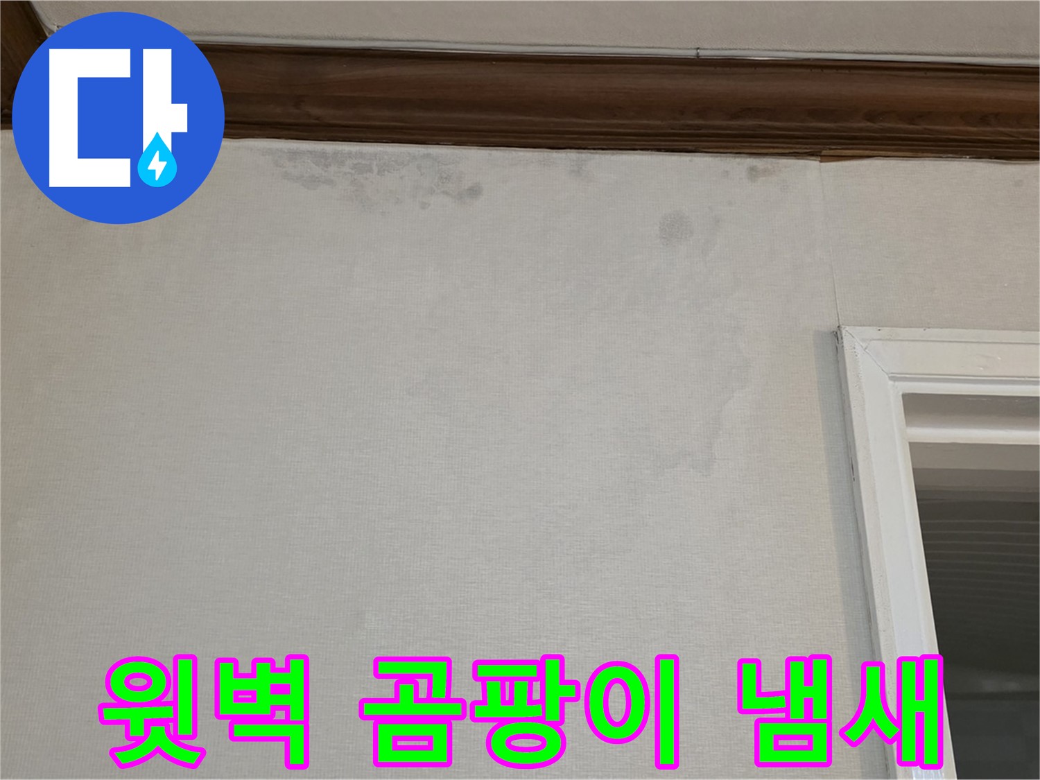 노원구 중계동 현대5차 211동 윗벽 곰팡이 - 곰팡이 냄새 제거까지 완벽