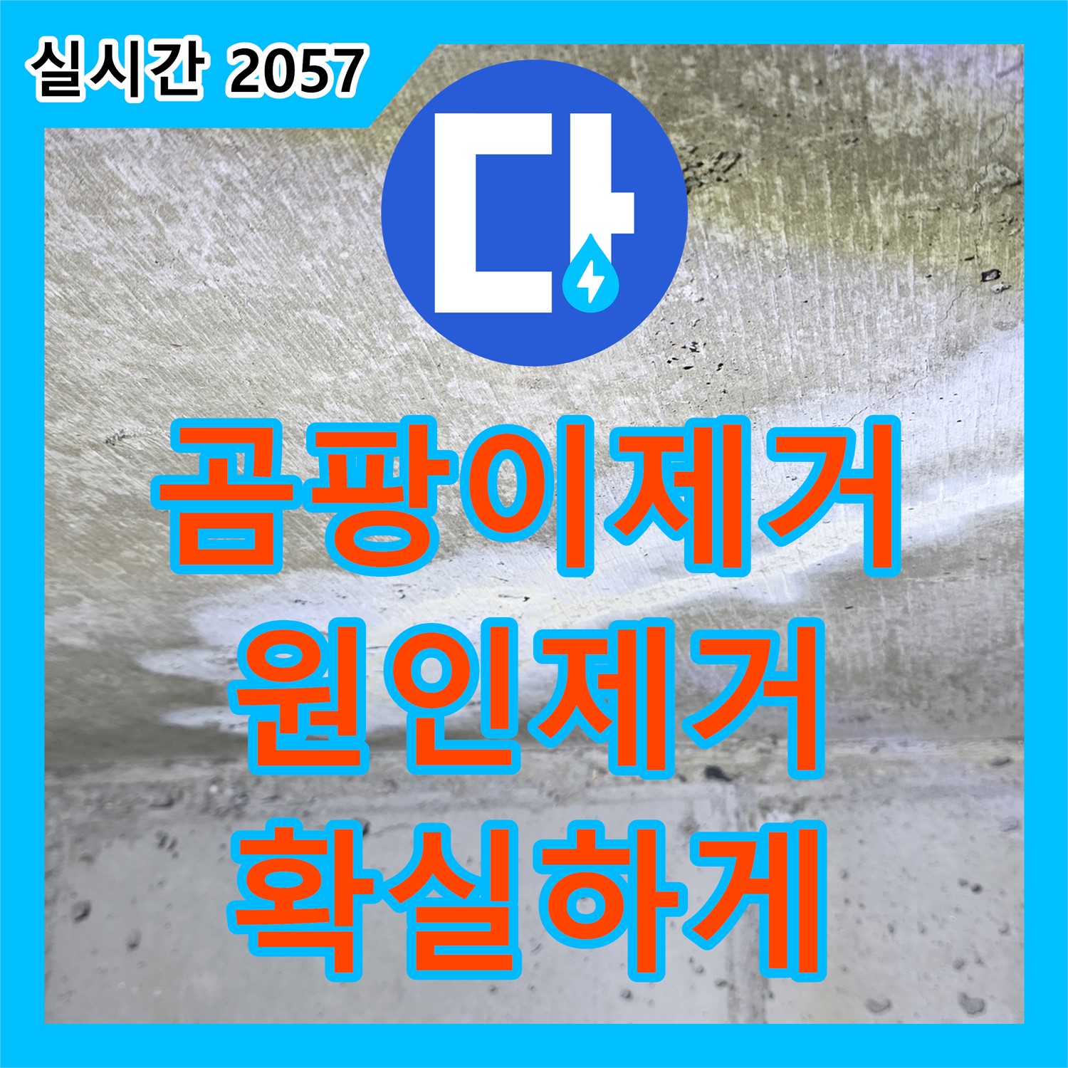 노원구 중계동 현대5차, 곰팡이 잡는 누수탐지업체의 확실한 원인 제거