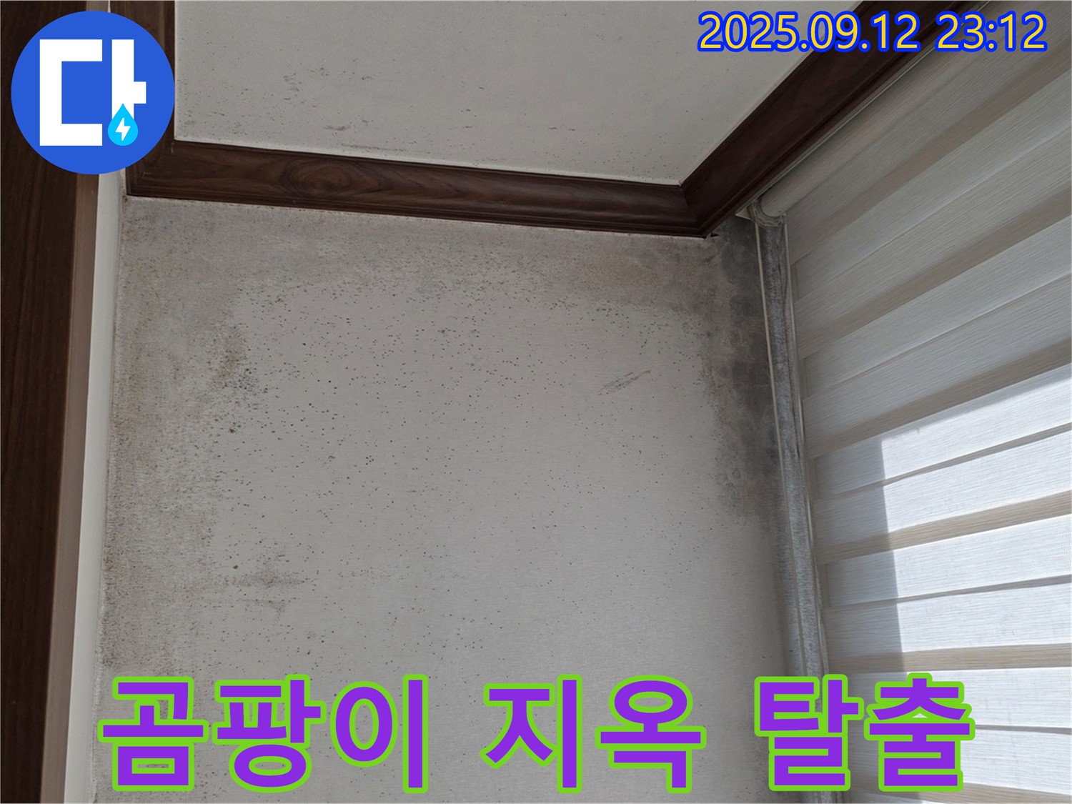 노원구 중계동 현대5차 아파트 누수 해결 - 곰팡이 문제를 해결하고 쾌적한 환경으로 탈바꿈했습니다.
