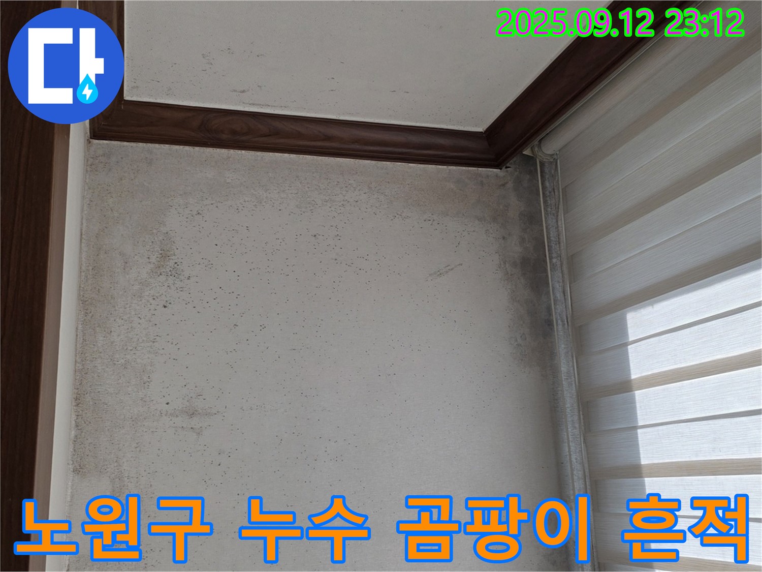 노원구 중계동 현대5차 아파트 누수 현장 - 곰팡이 흔적을 통해 누수 위치를 파악하고, 정확한 누수 원인을 진단하여 해결하는 과정입니다.