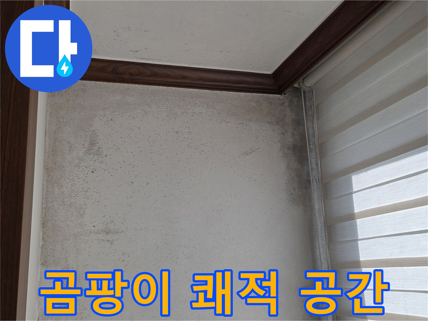 중계2동 현대5차 곰팡이 누수 - 곰팡이 없는 쾌적한 공간으로 변신