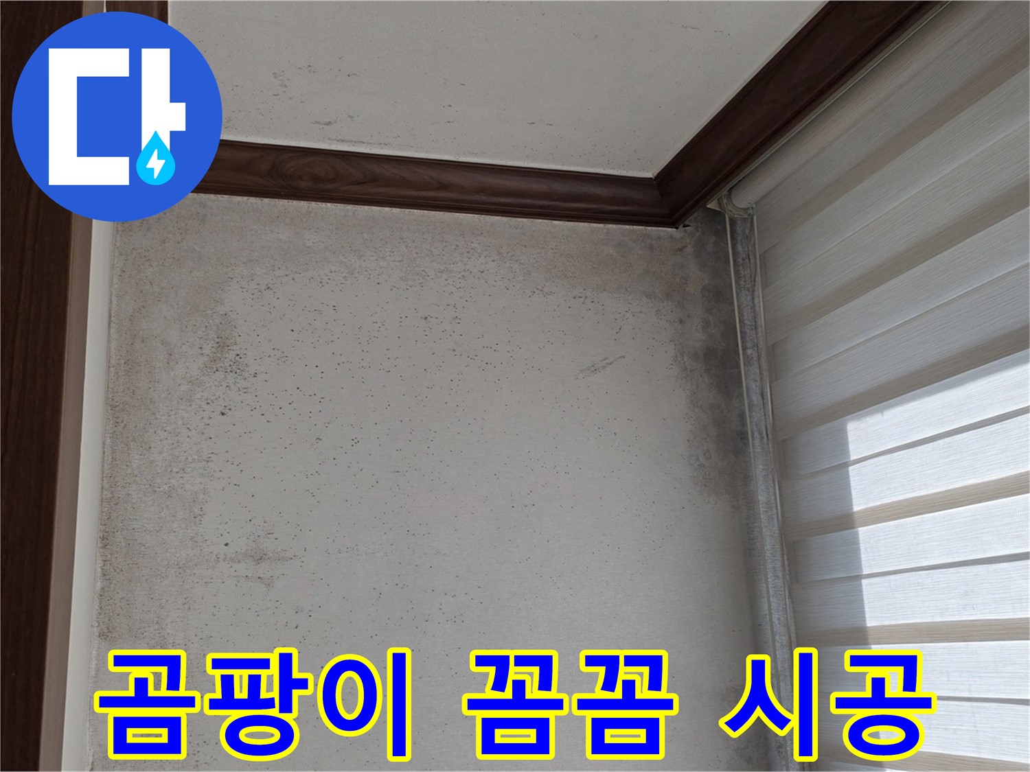중계2동 현대5차 아파트 곰팡이 누수 - 꼼꼼한 시공으로 완벽 해결