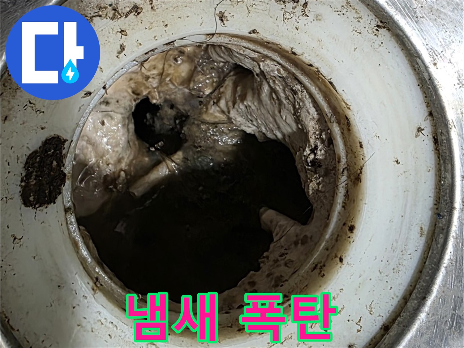 중계동 현대5차 211동 누수 - 배수구 속 숨겨진 찌꺼기 - 냄새 폭탄!