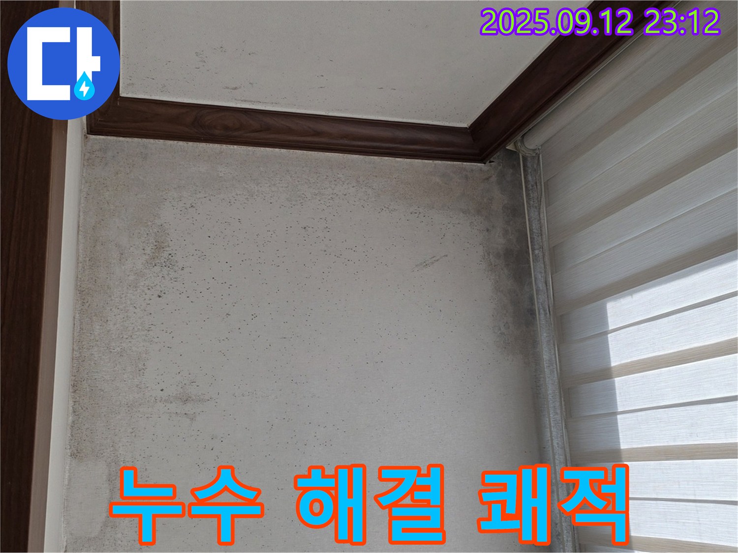 중계동 현대5차 211동 아파트 누수 현장 - 곰팡이와의 악몽을 끝내고 누수 해결로 쾌적한 보금자리를 만들어 드립니다.