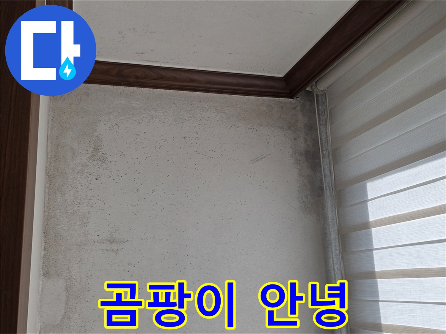 중계동 현대5차 곰팡이 누수 - 곰팡이, 이제 안녕! 쾌적한 공간으로 변신