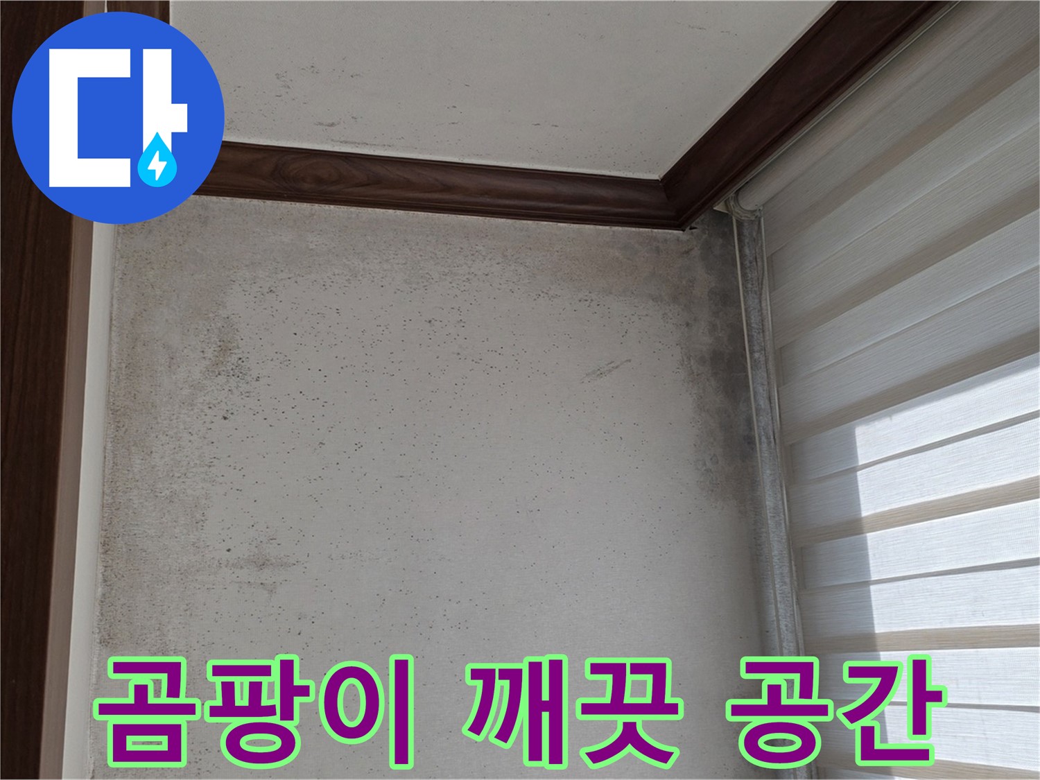 중계동 현대5차 아파트 곰팡이 누수 - 깨끗한 공간으로 되돌려 드립니다