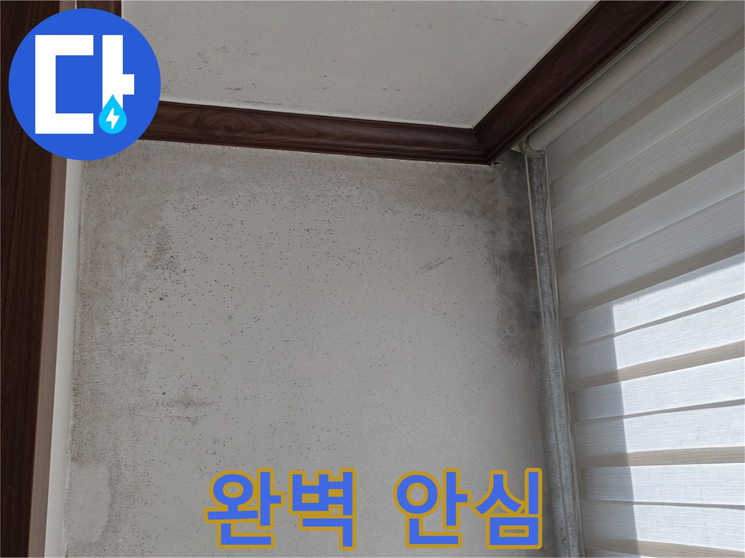 중계동 현대5차 아파트 곰팡이 누수 - 완벽하게 해결, 안심하고 맡겨주세요.