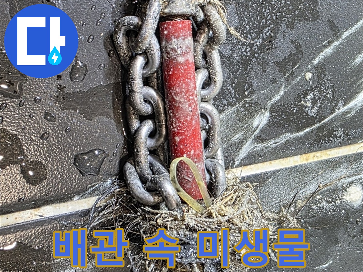 중계동 현대5차 아파트 누수 - 배관 속 '미생물'처럼 엉켜있는 이물질 덩어리