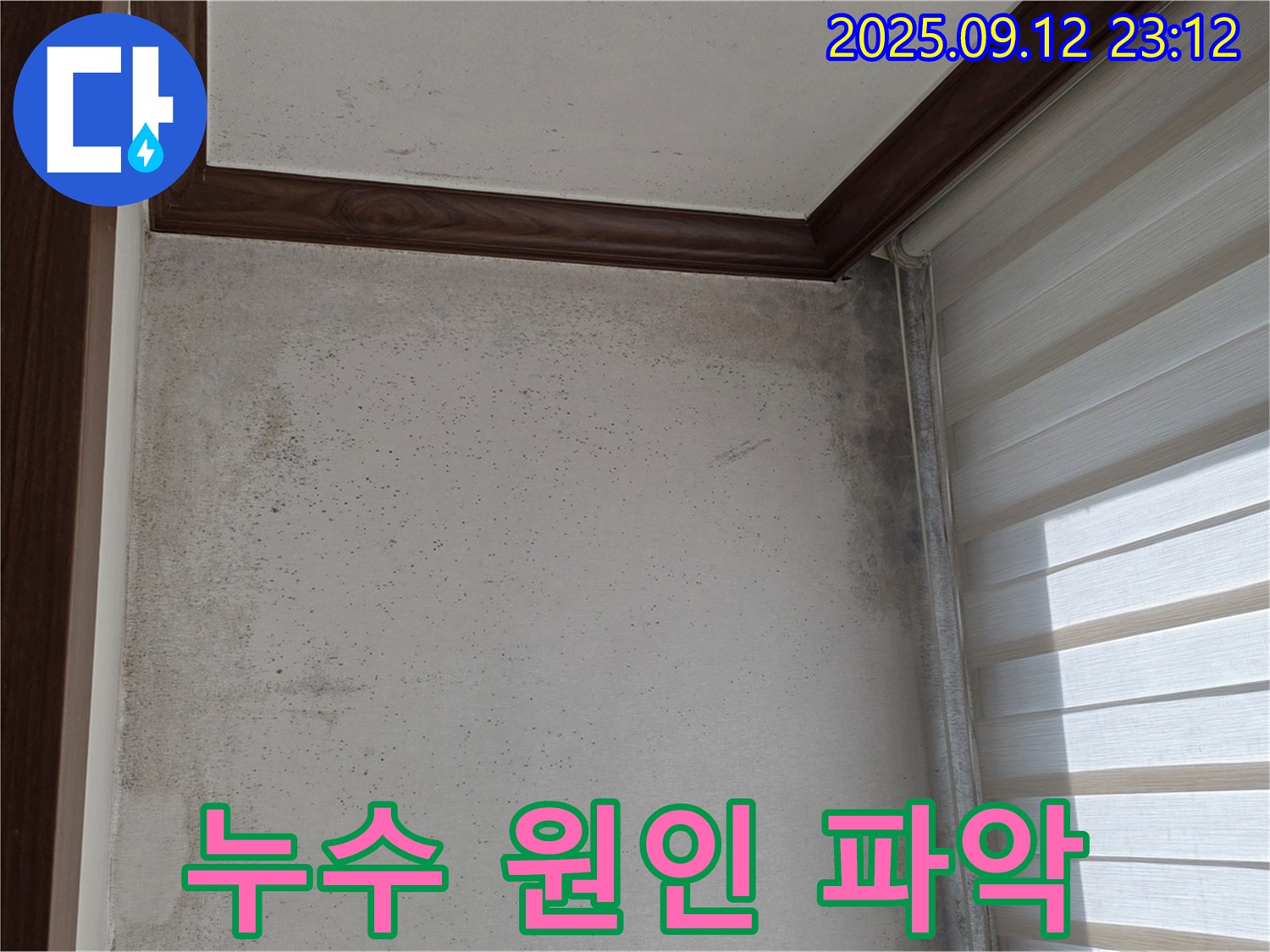 중계동 현대5차 아파트 누수 현장 - 곰팡이 문제의 근본 원인인 누수를 파악하기 위해 집중하는 모습입니다.
